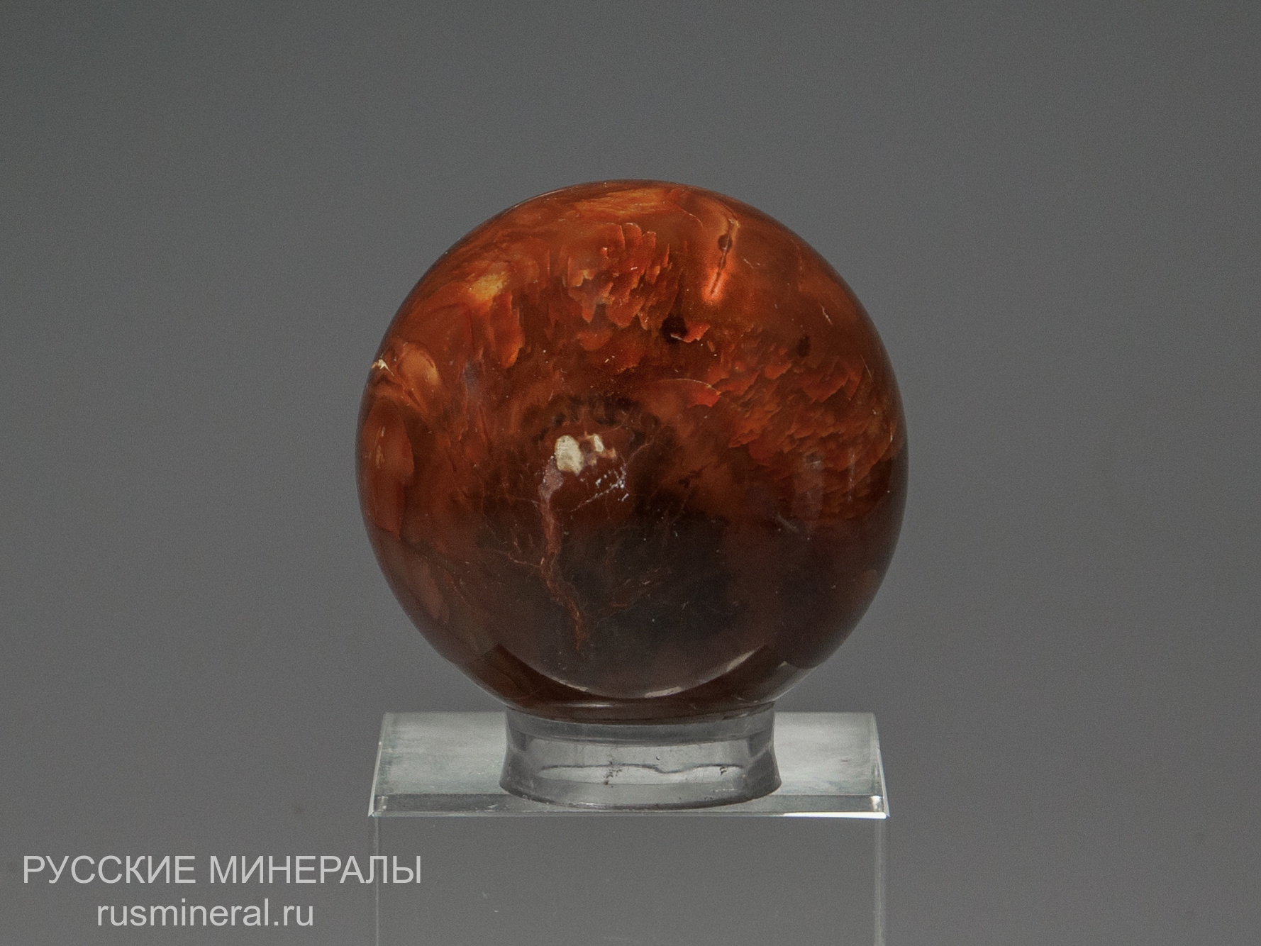 Сердолик Сердолик