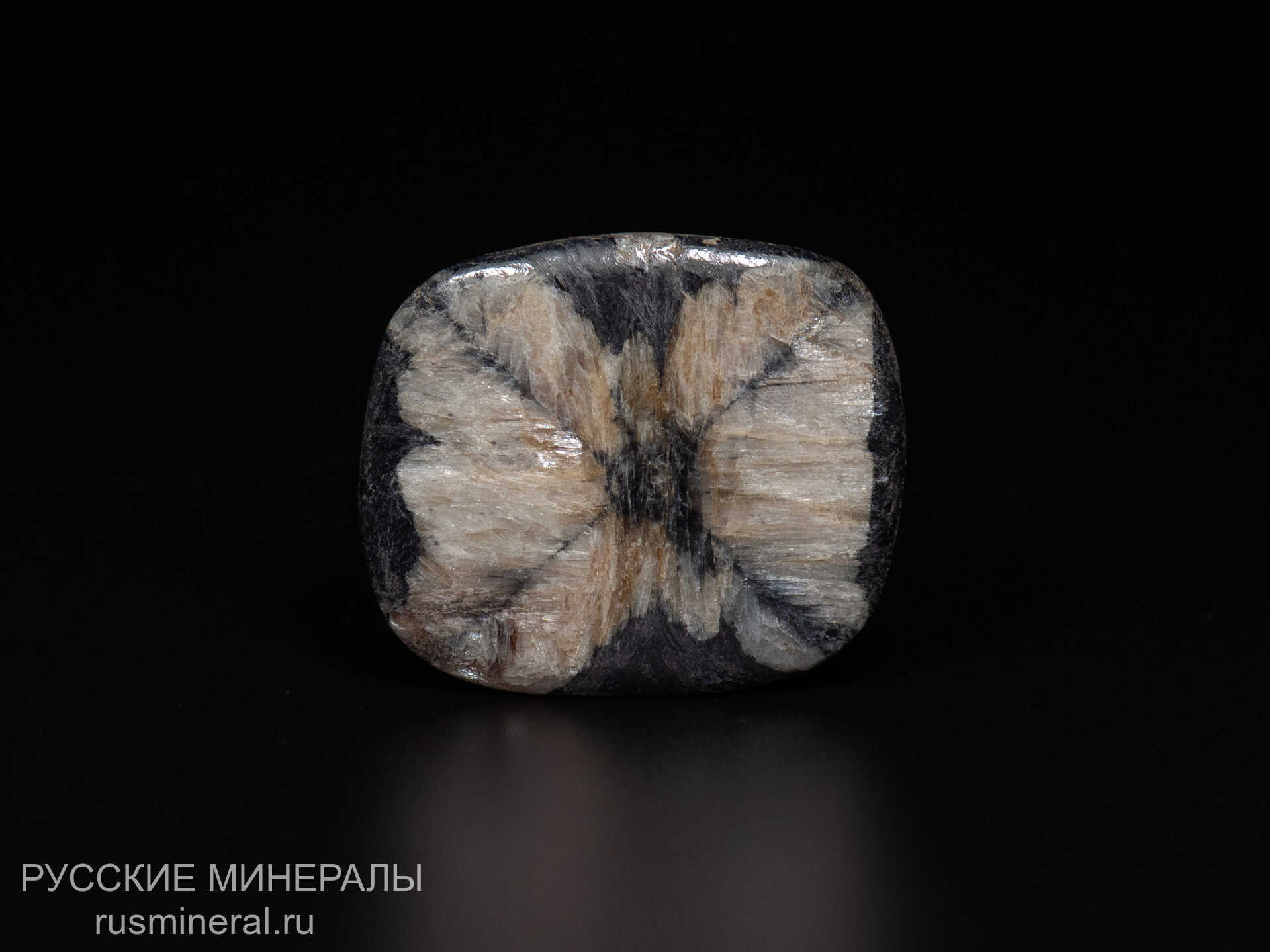 Хиастолит полированный Хиастолит полированный