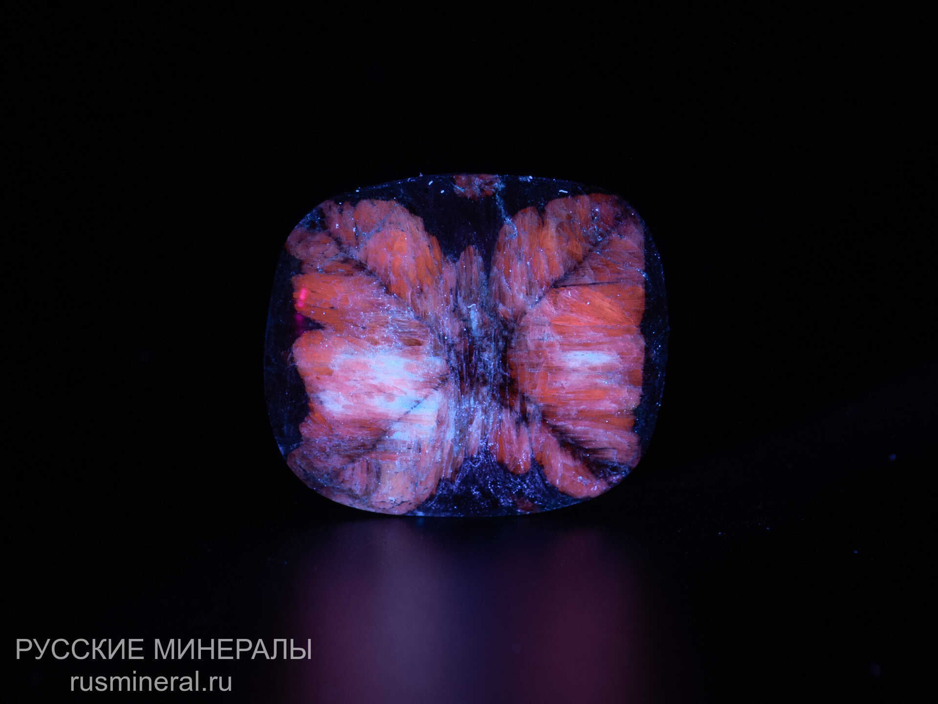 Хиастолит полированный Хиастолит полированный