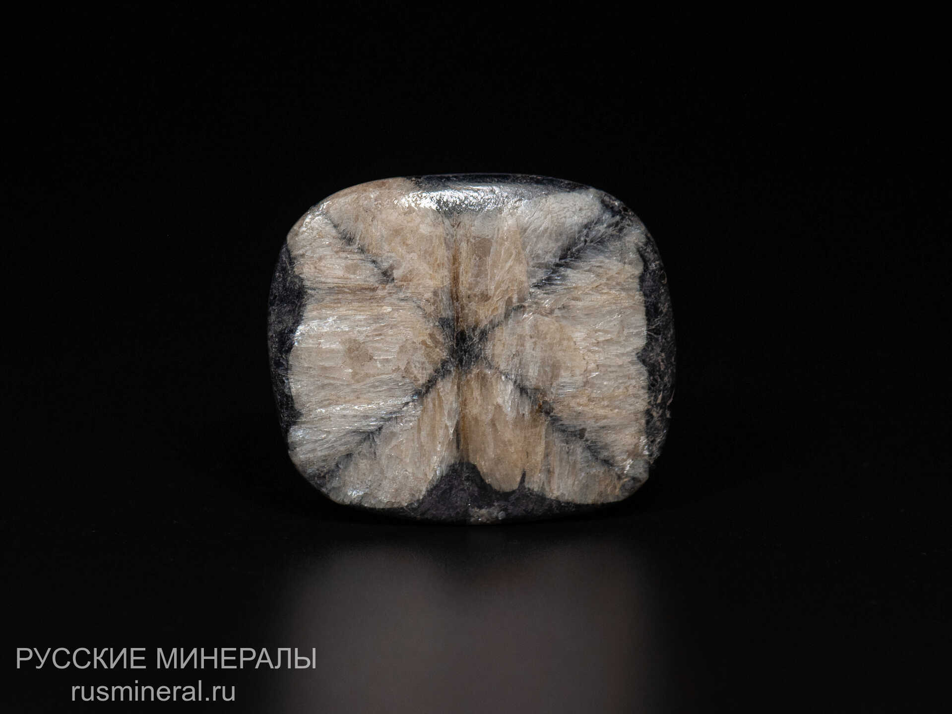 Хиастолит полированный Хиастолит полированный