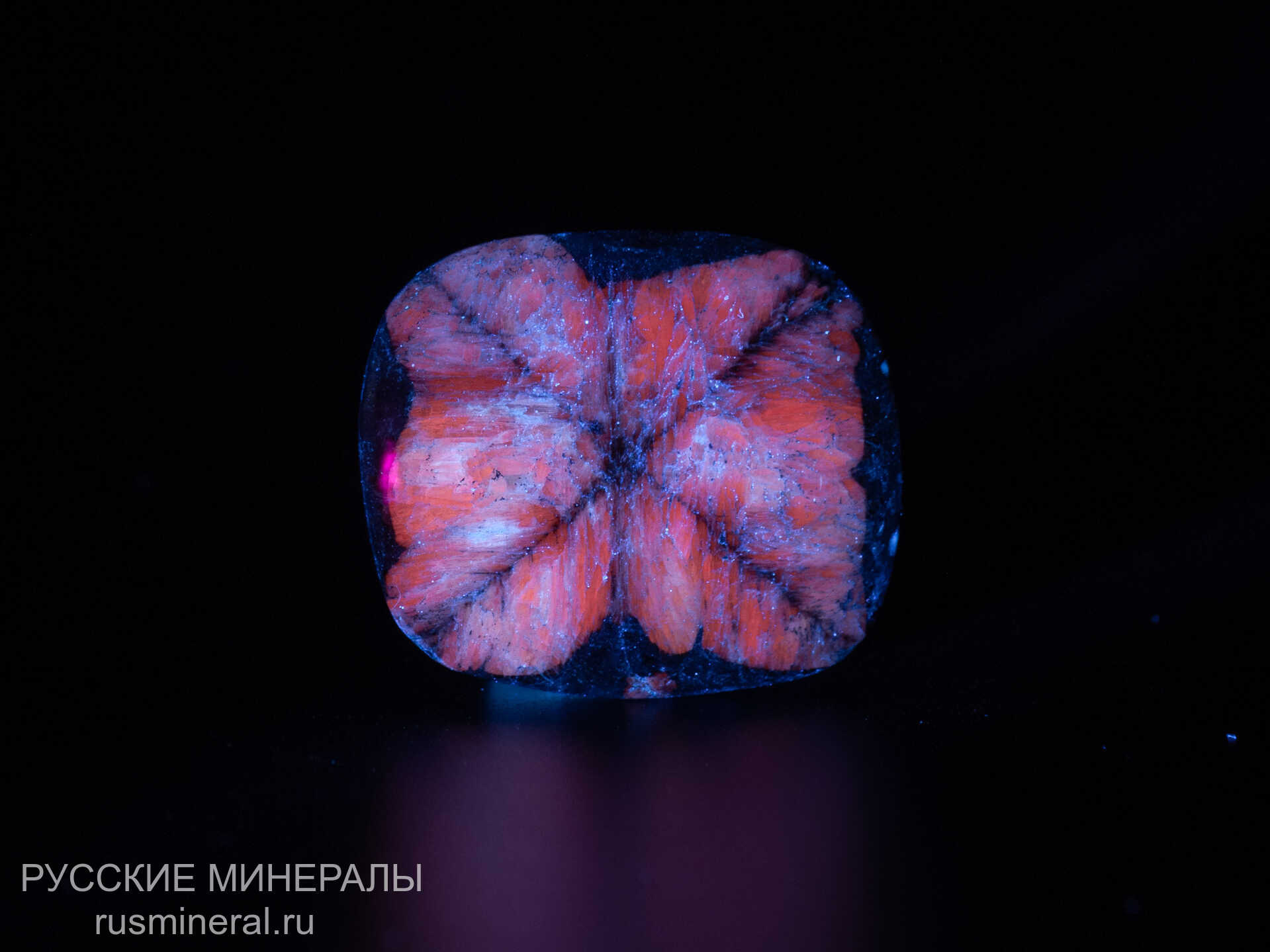 Хиастолит полированный Хиастолит полированный