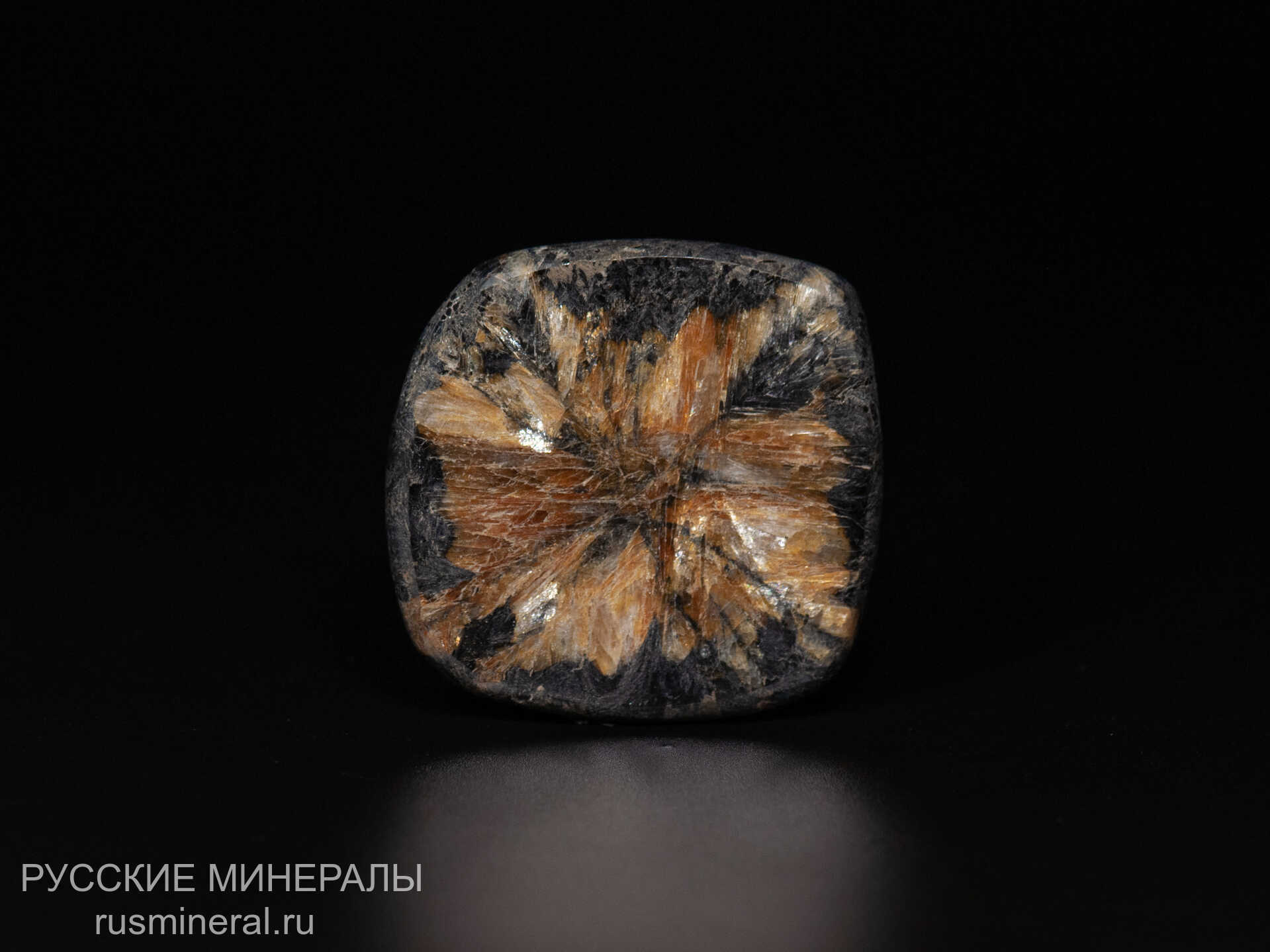 Хиастолит полированный Хиастолит полированный