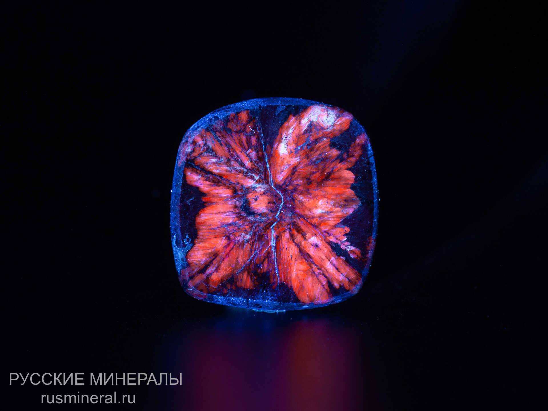 Хиастолит полированный Хиастолит полированный