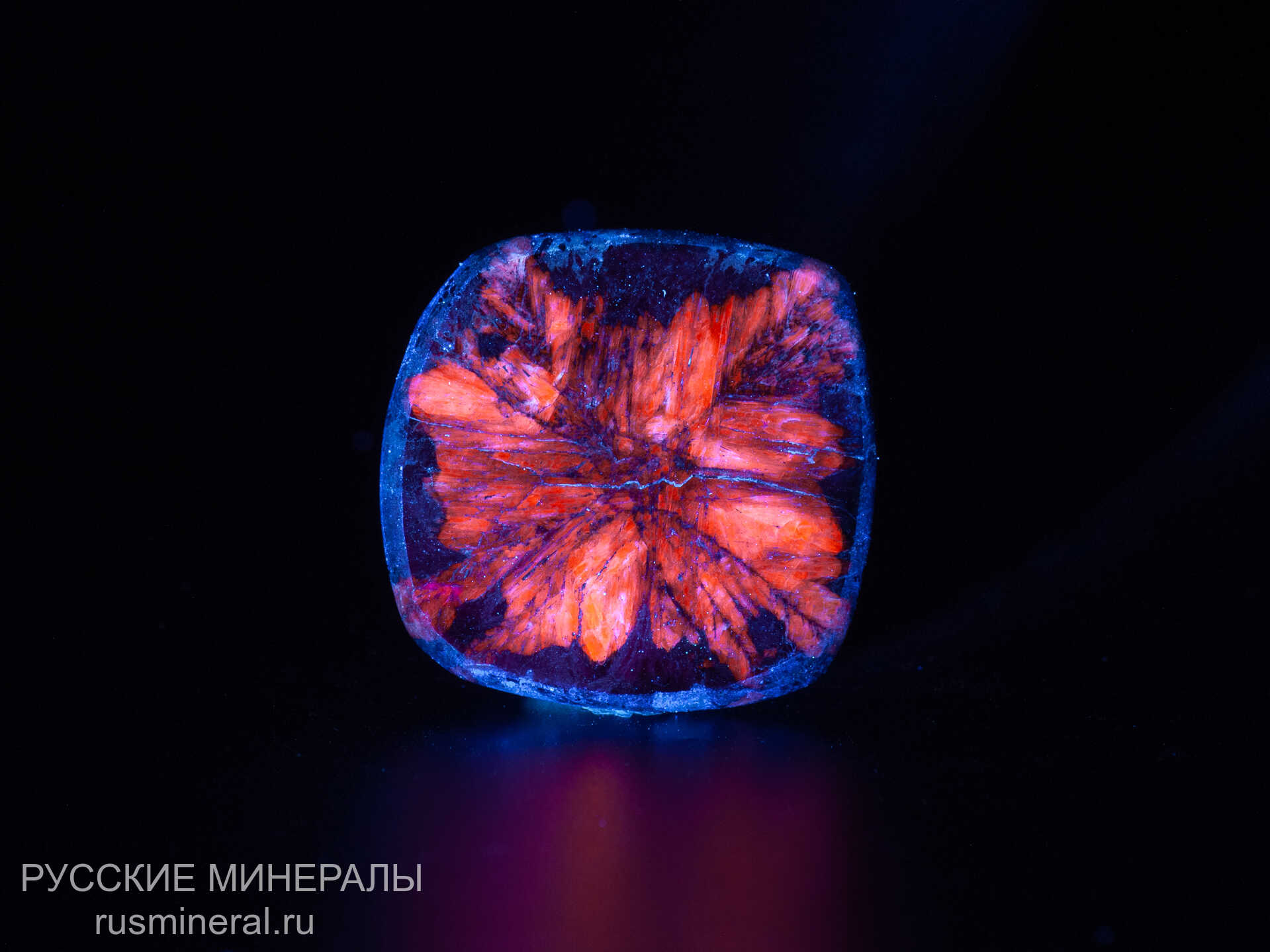 Хиастолит полированный Хиастолит полированный