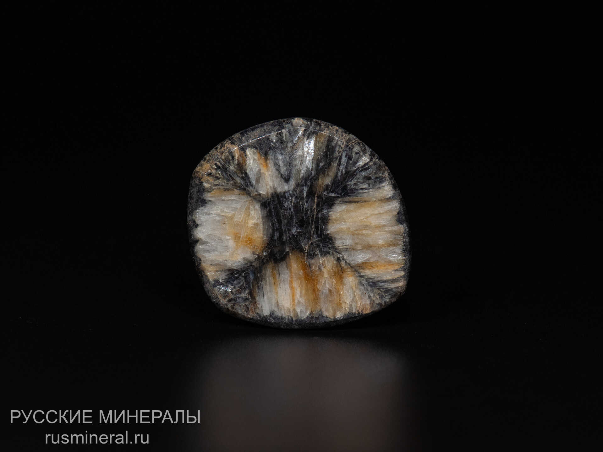 Хиастолит полированный Хиастолит полированный