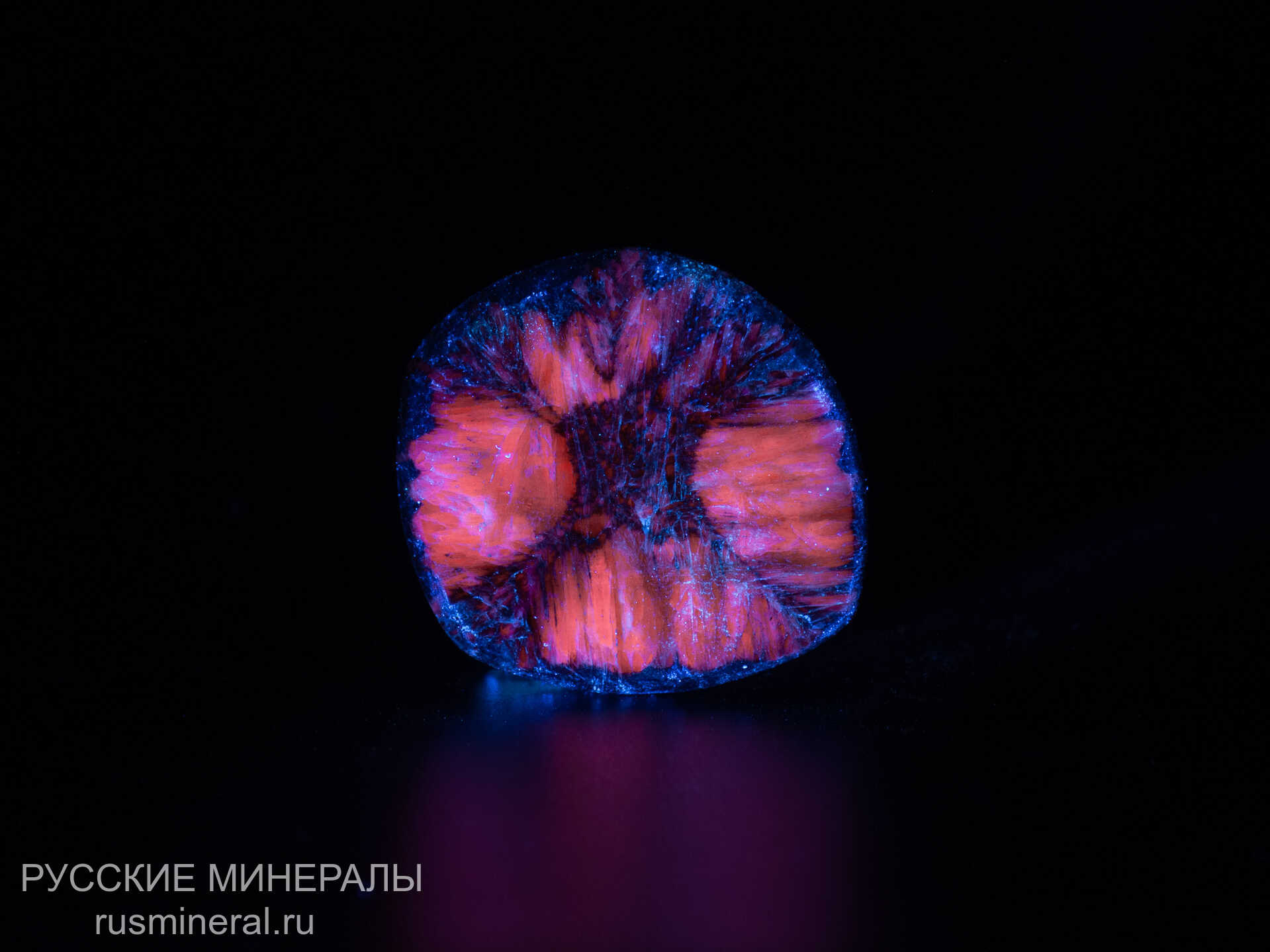 Хиастолит полированный Хиастолит полированный