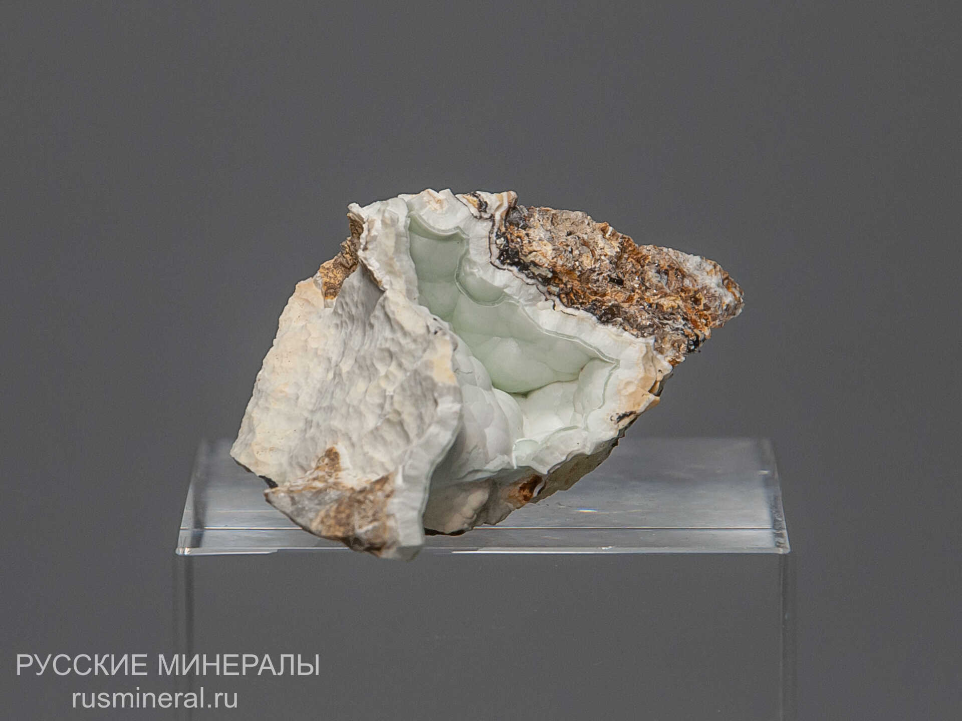 Карбонатфторапатит Карбонатфторапатит