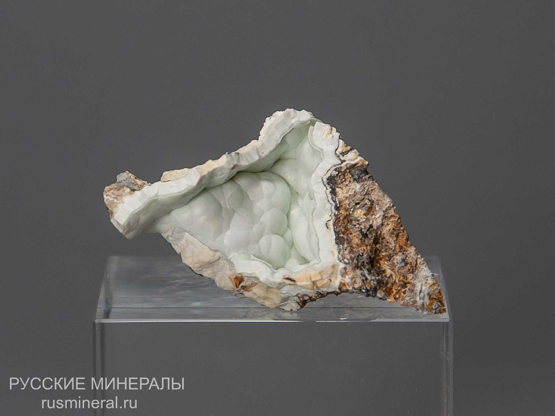 Карбонатфторапатит Карбонатфторапатит