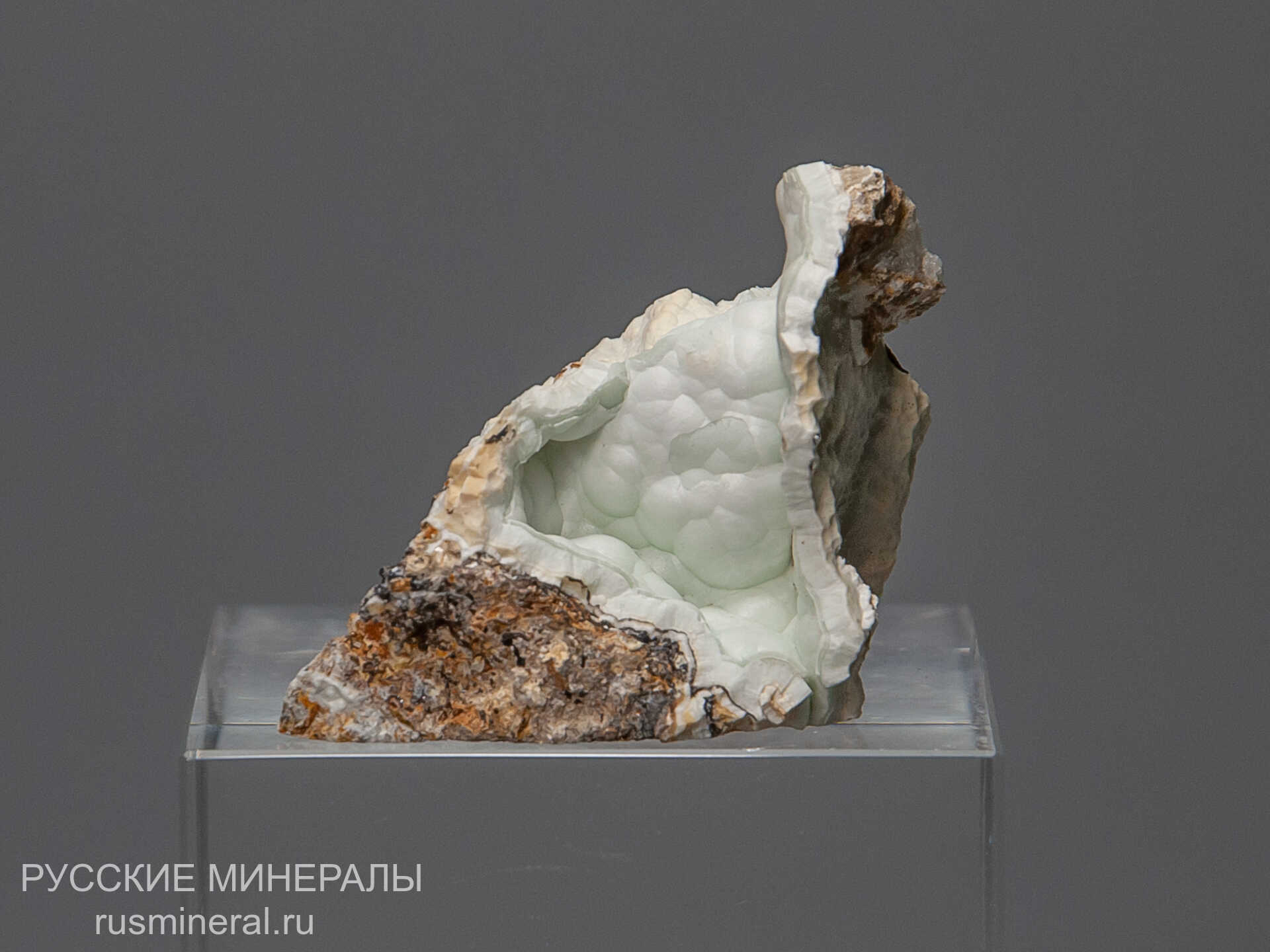 Карбонатфторапатит Карбонатфторапатит