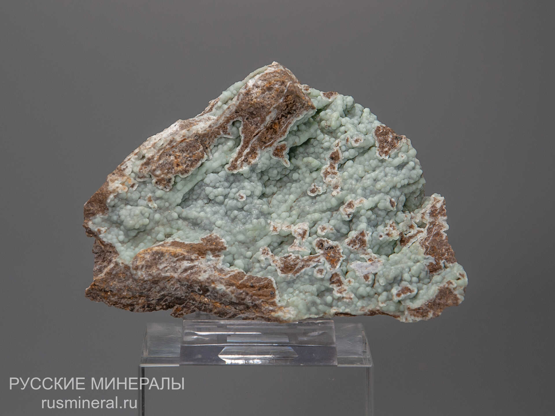 Карбонатфторапатит Карбонатфторапатит