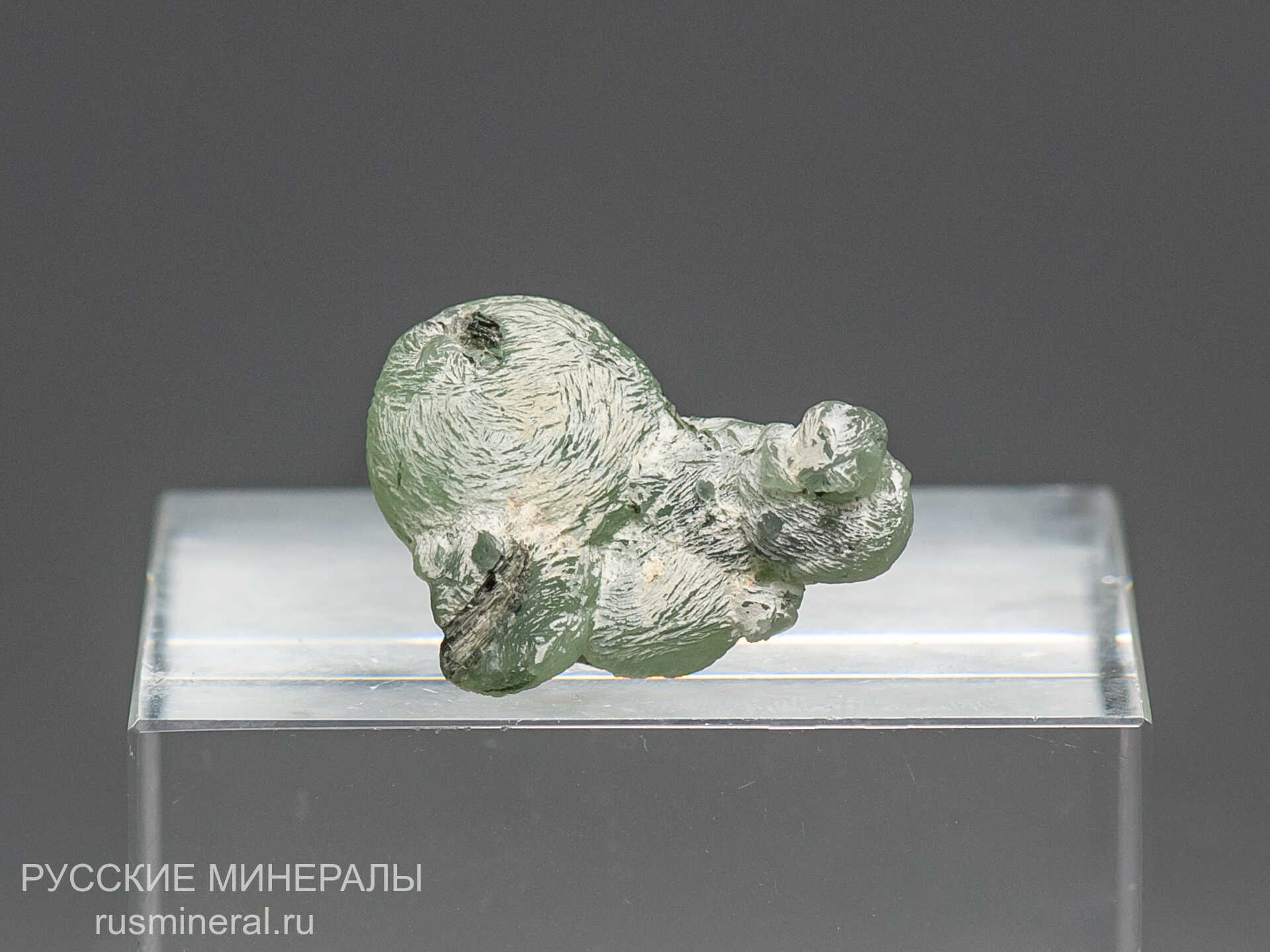 Пренит Пренит