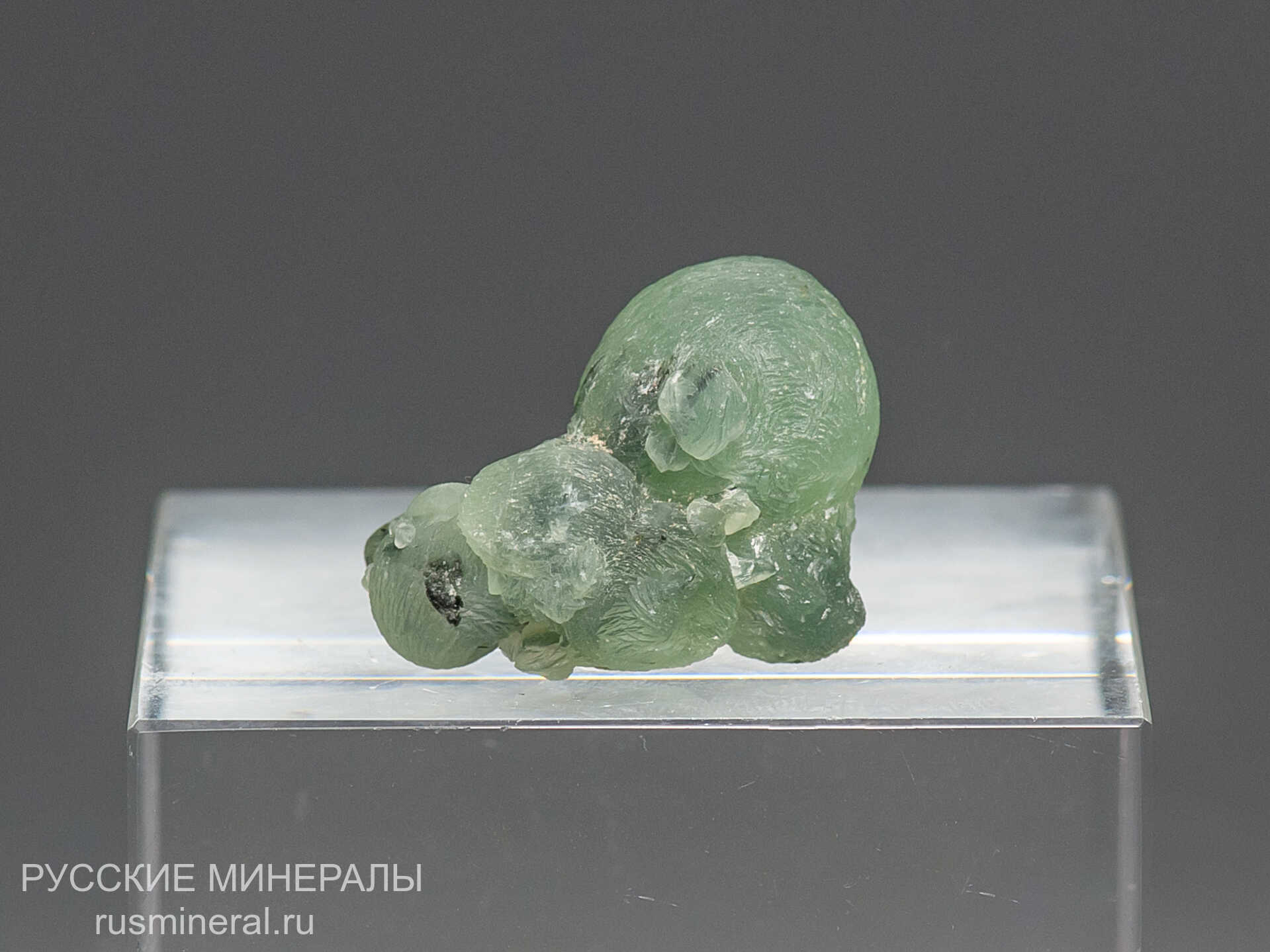 Пренит Пренит