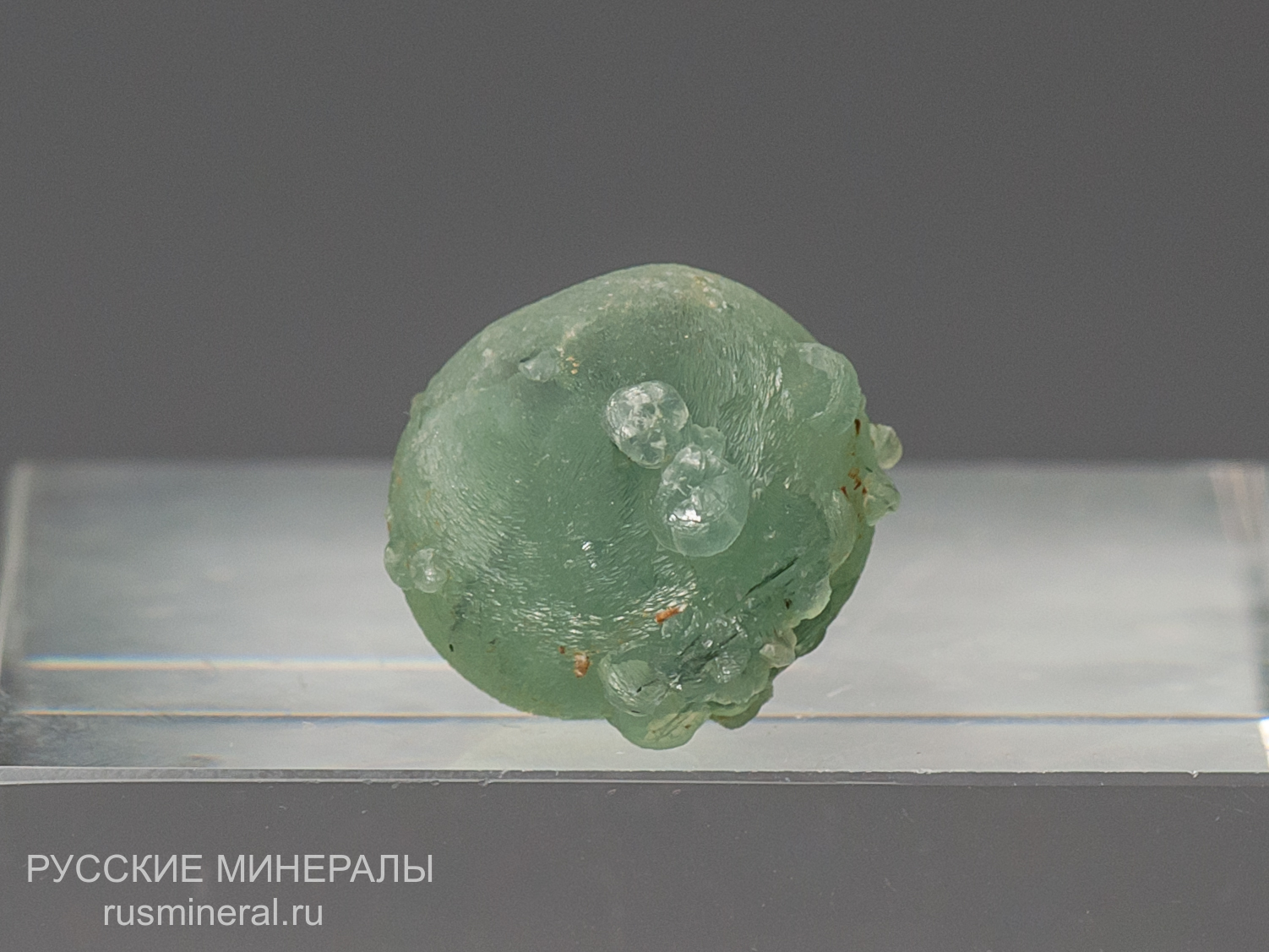 Пренит Пренит