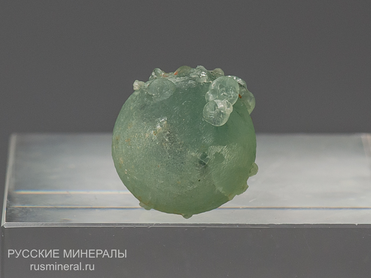 Пренит Пренит