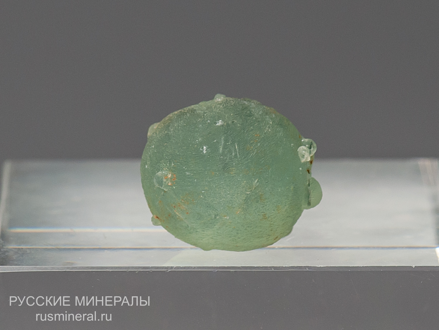 Пренит Пренит