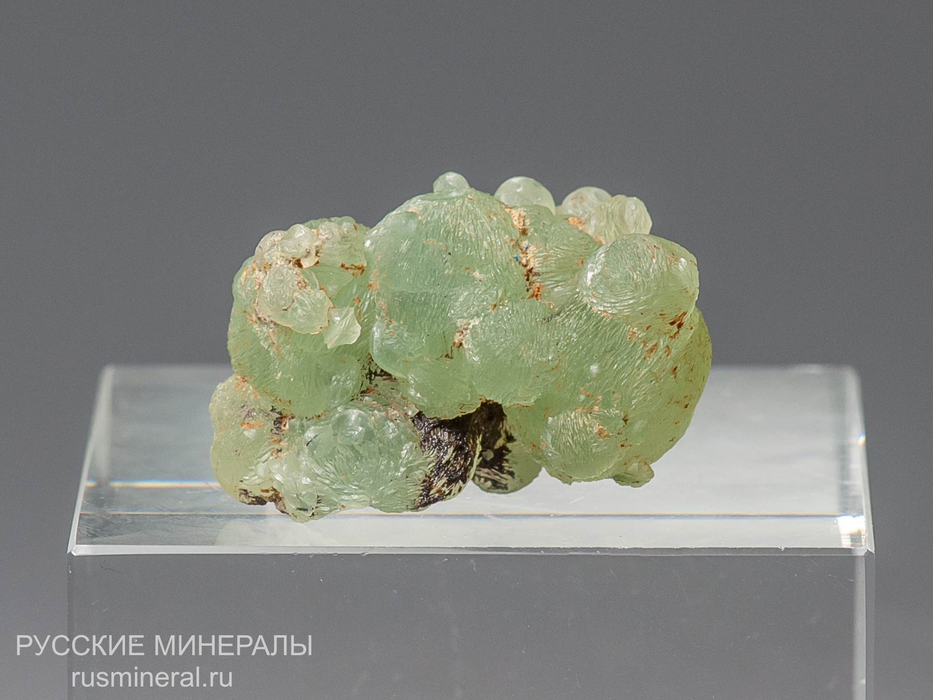 Пренит Пренит