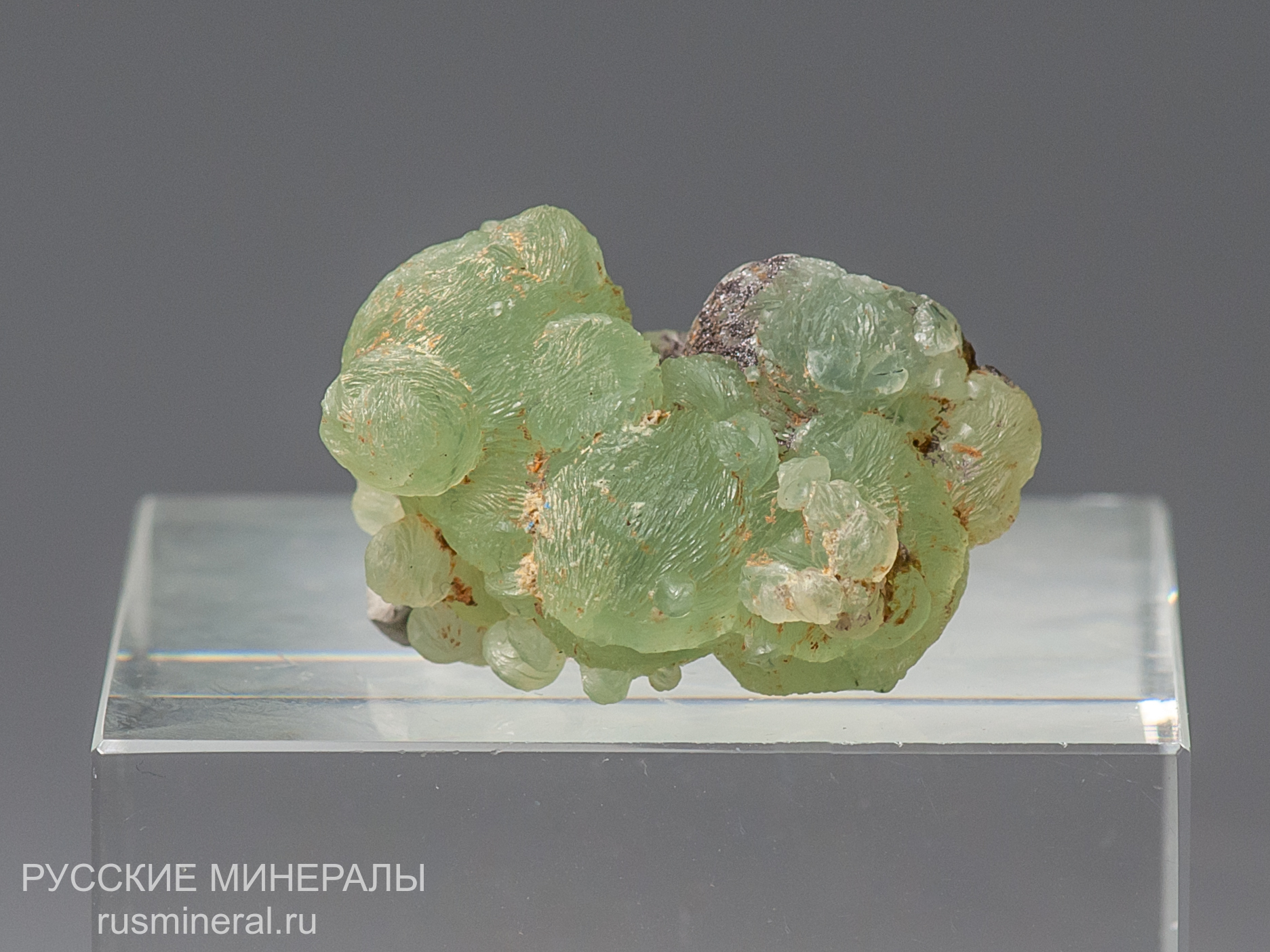 Пренит Пренит