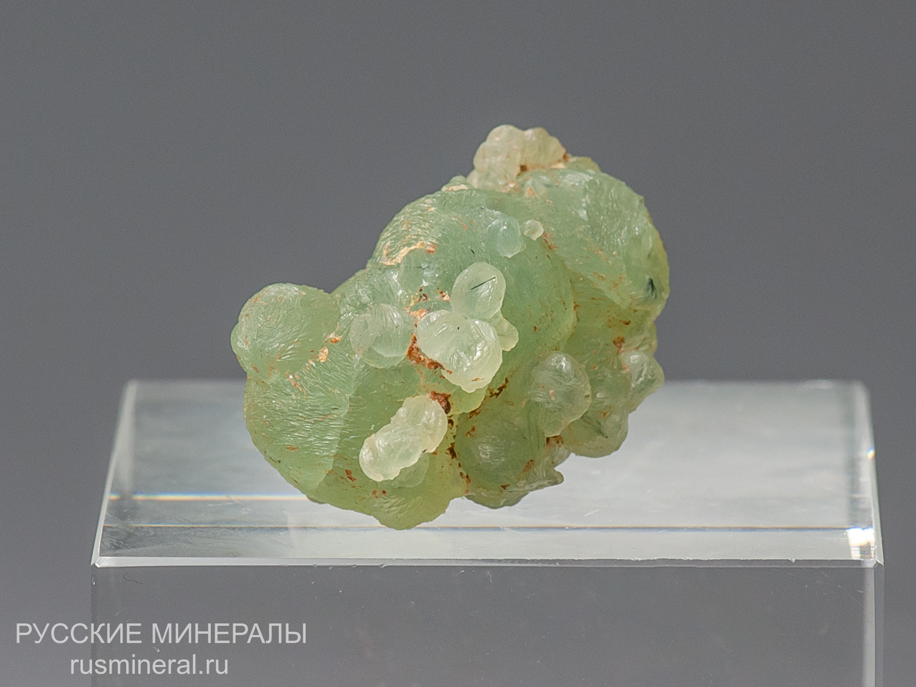 Пренит Пренит