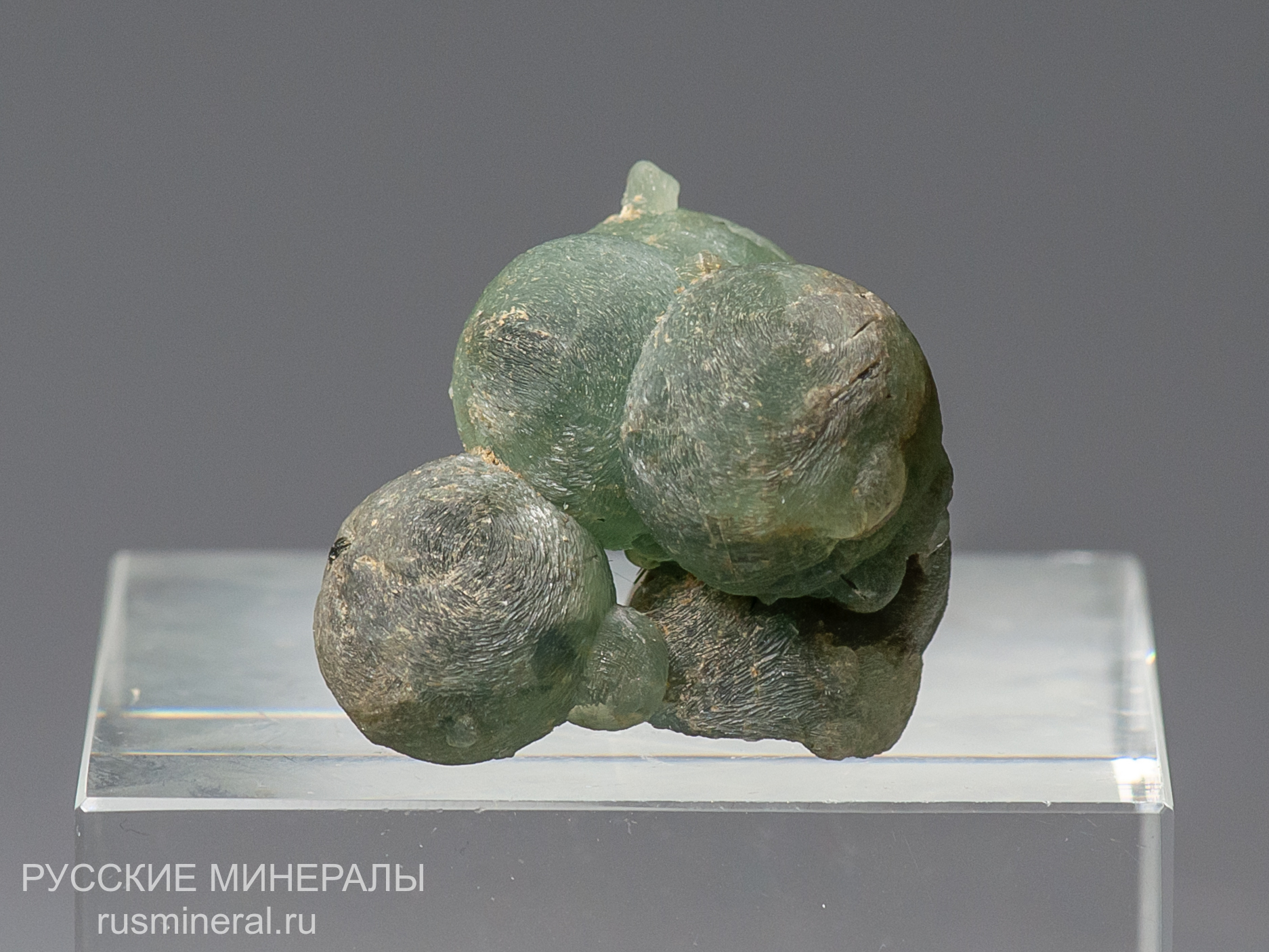 Пренит Пренит