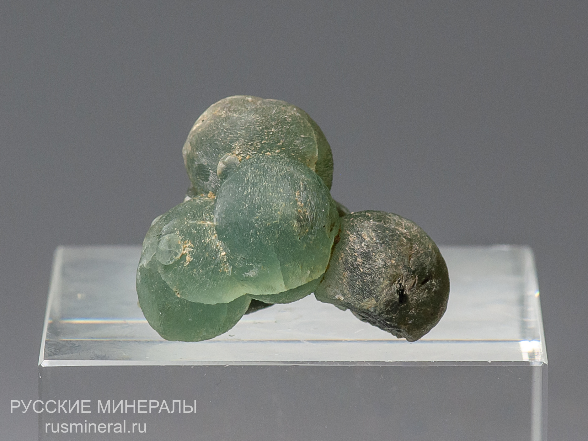 Пренит Пренит