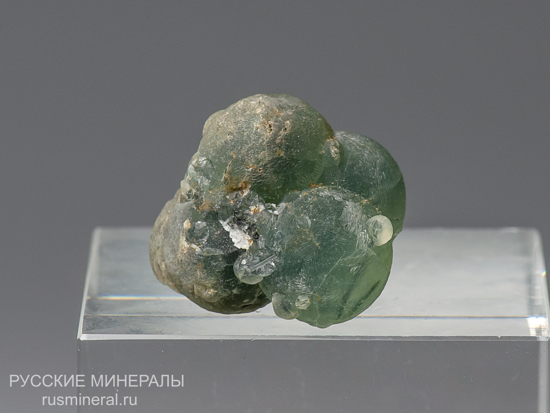 Пренит Пренит