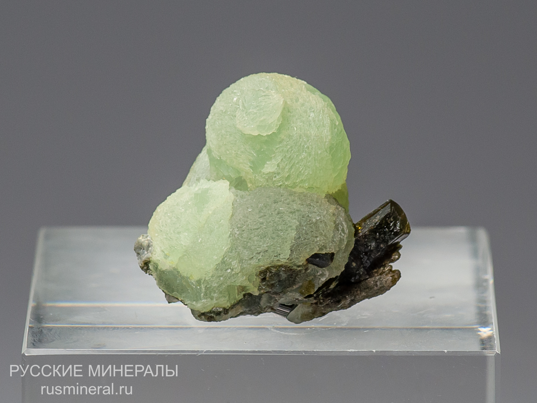 Пренит Пренит