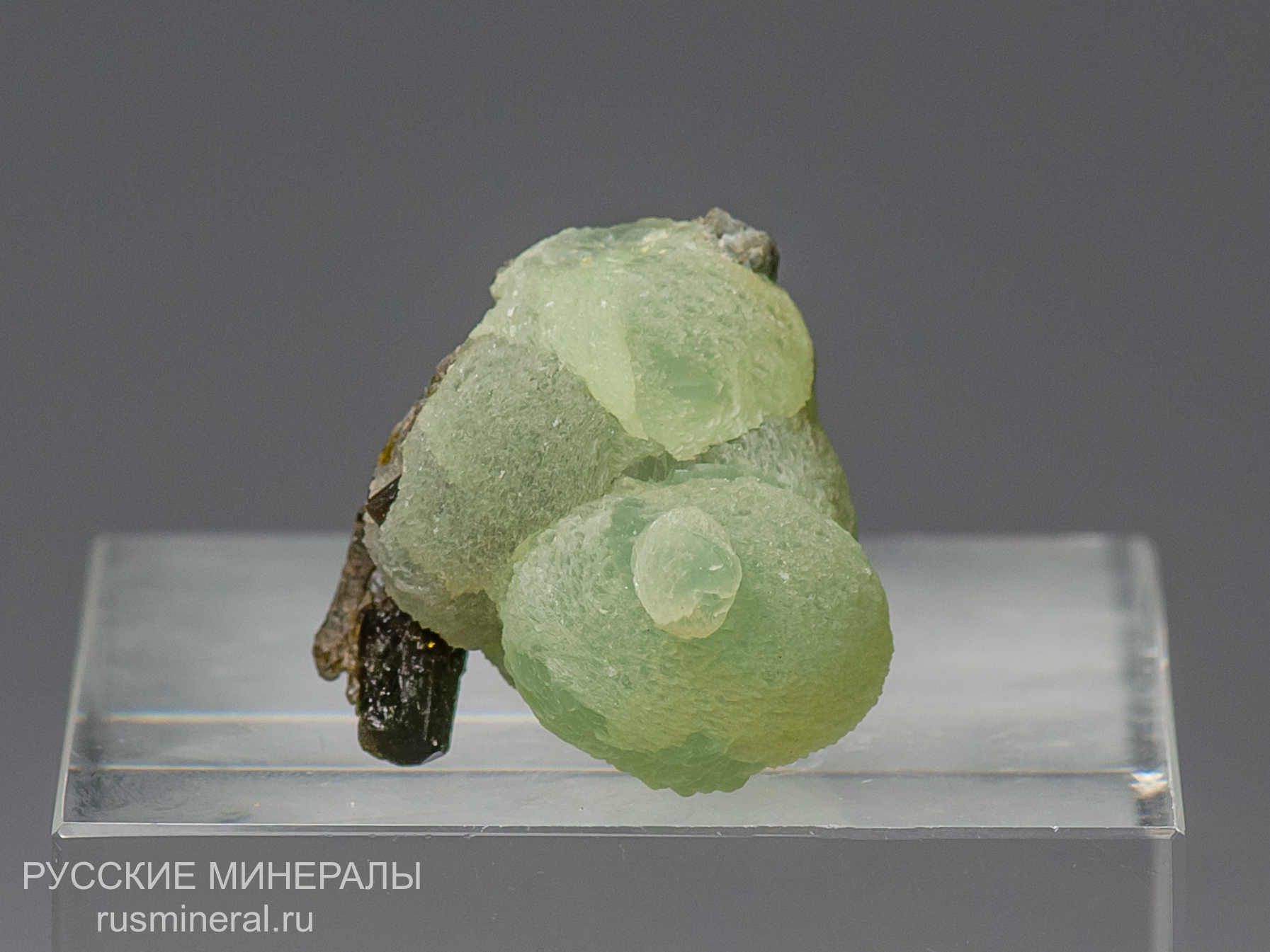 Пренит Пренит