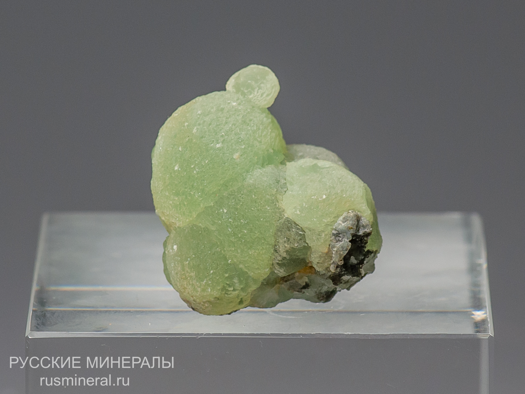 Пренит Пренит