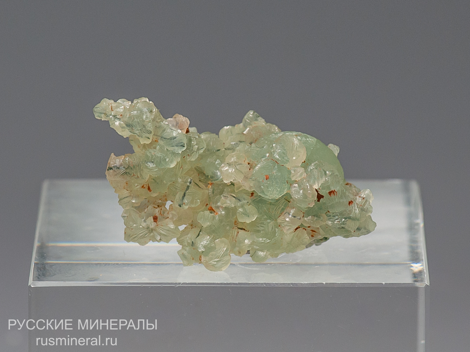 Пренит Пренит