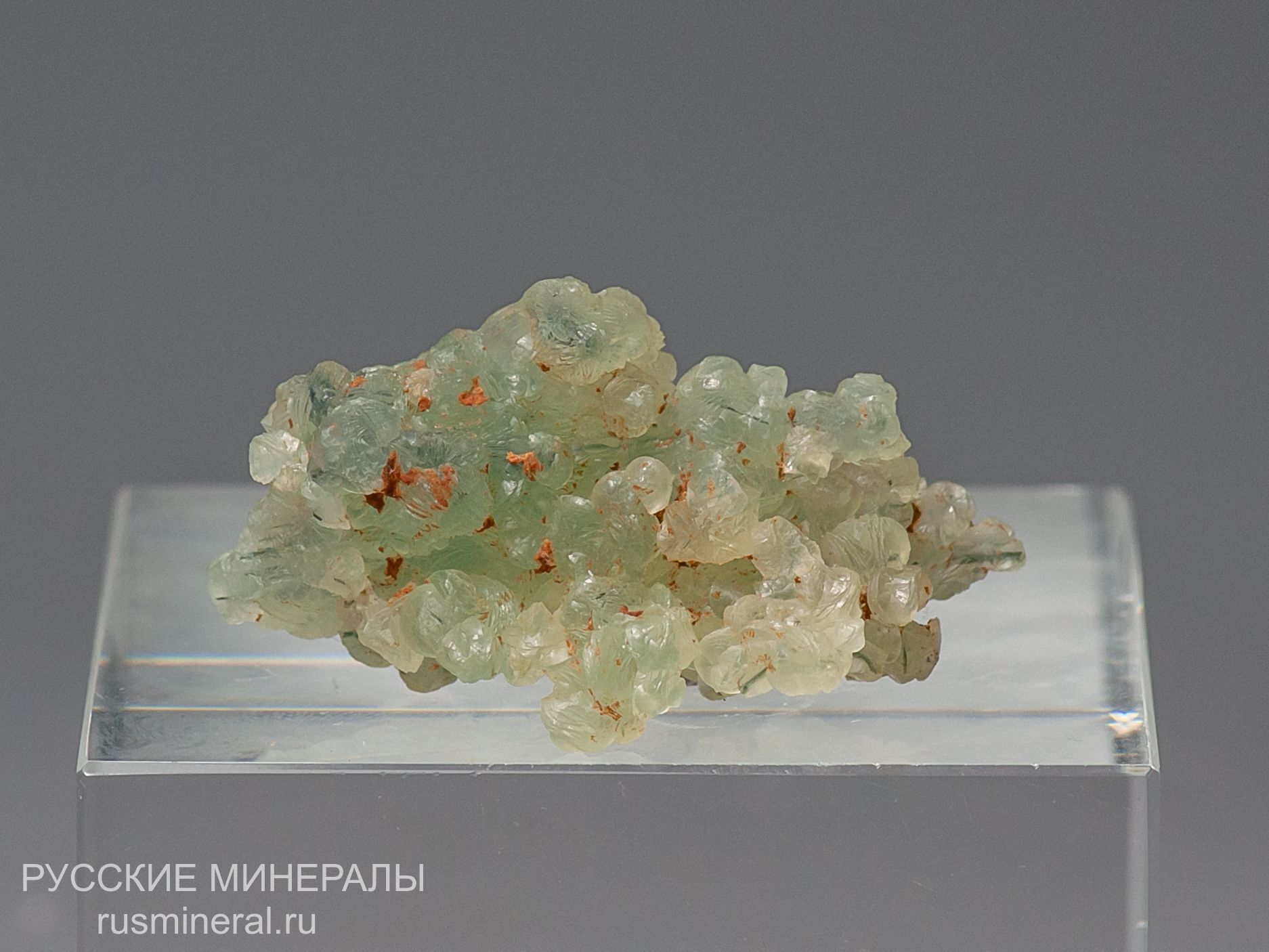 Пренит Пренит