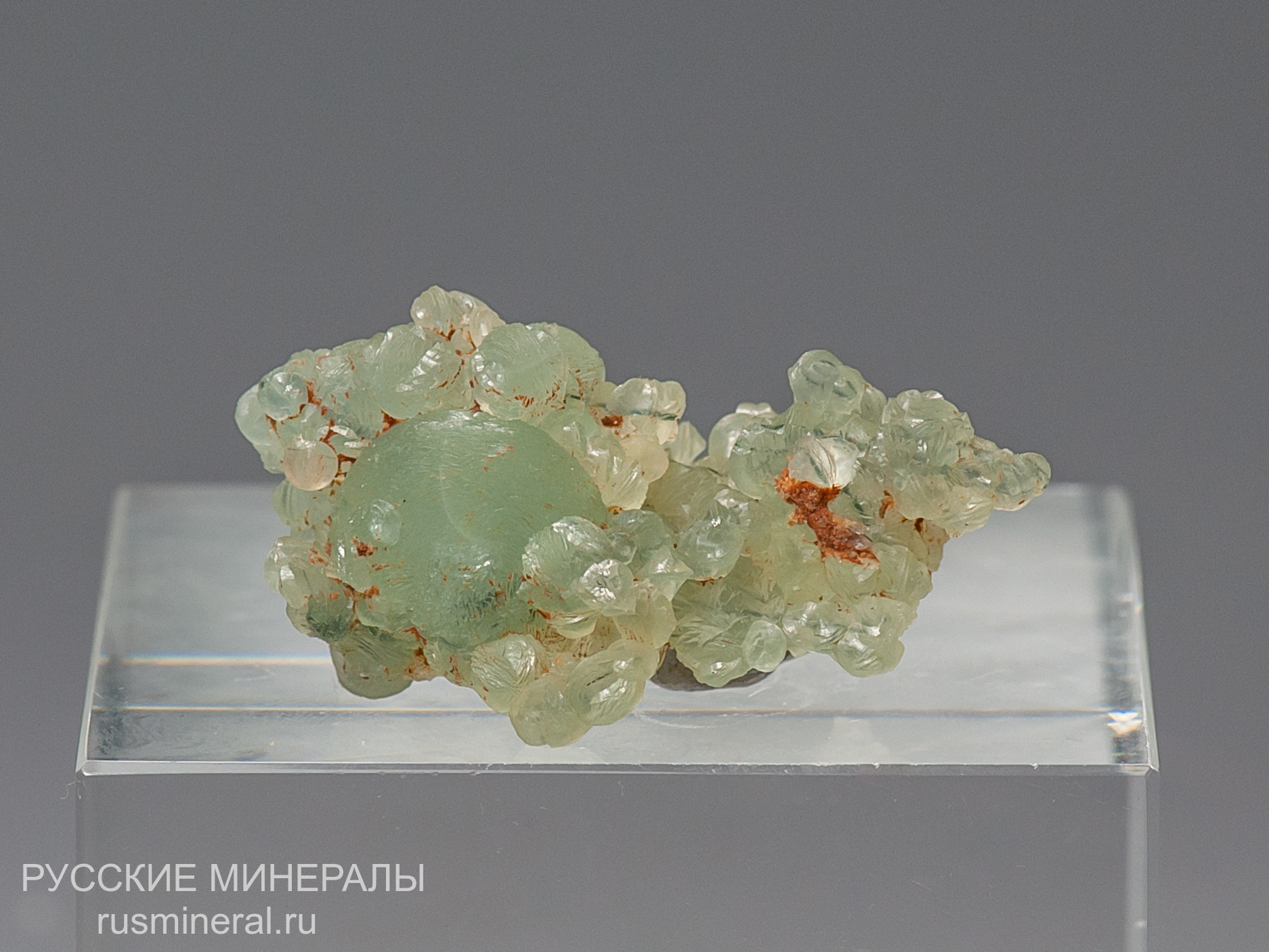 Пренит Пренит