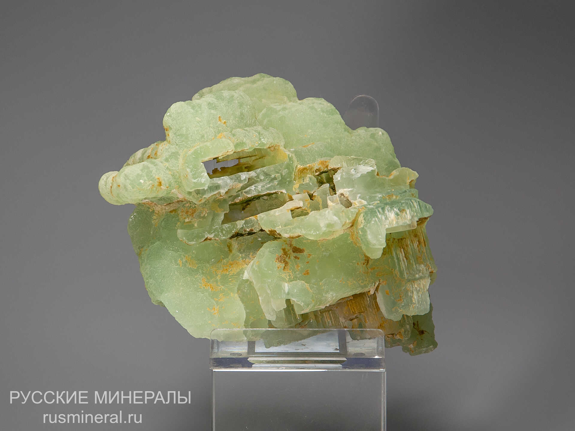 Пренит Пренит