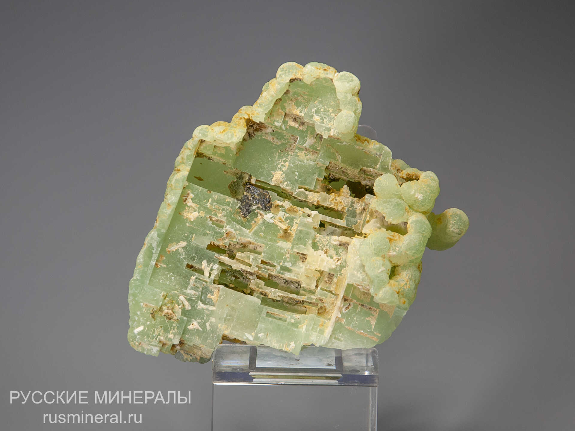 Пренит Пренит