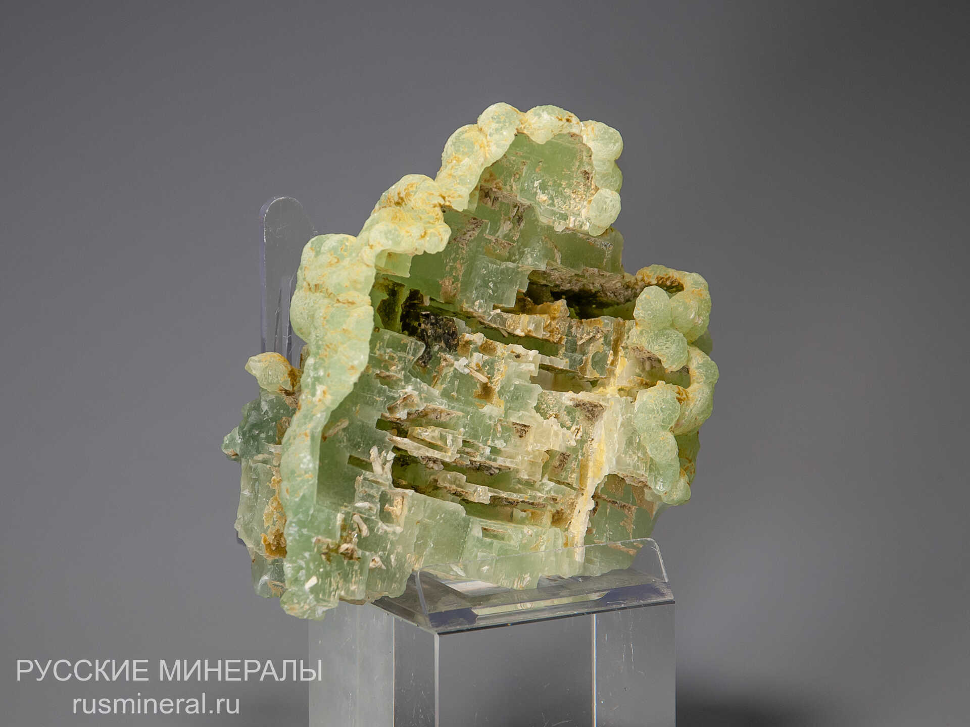 Пренит Пренит