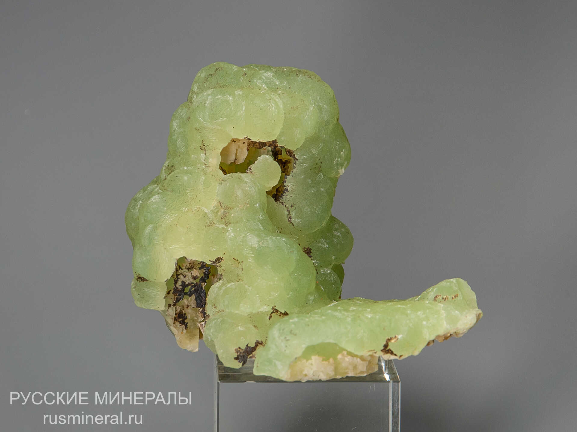 Пренит Пренит