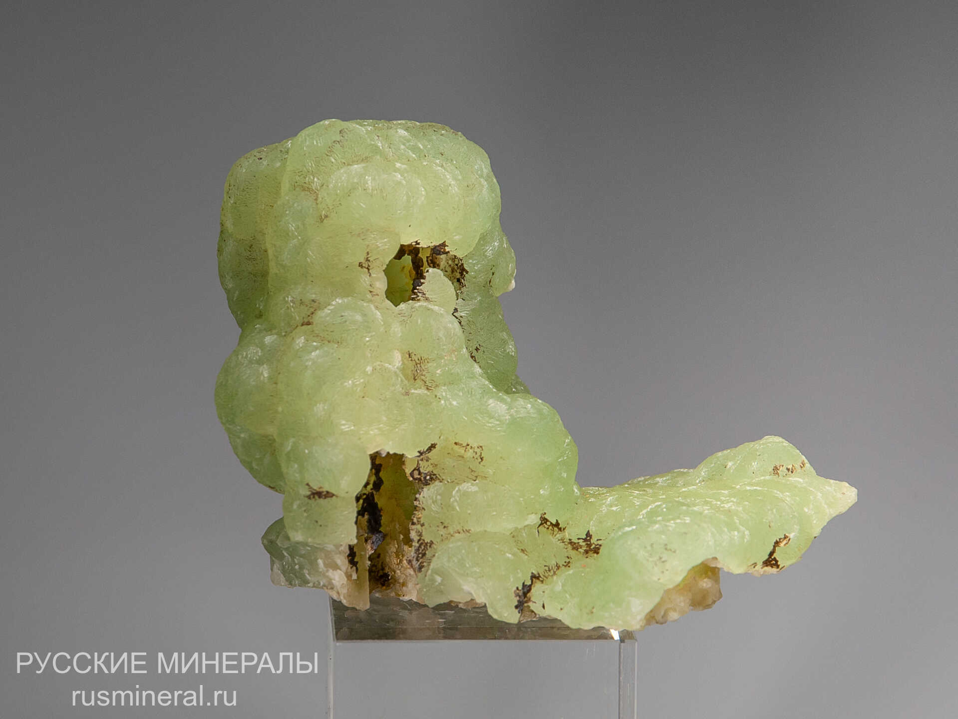 Пренит Пренит