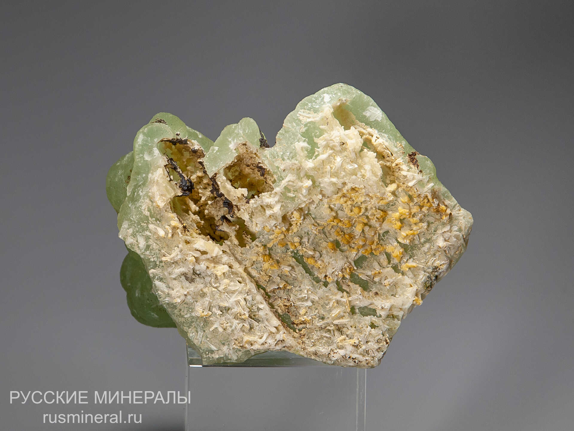 Пренит Пренит