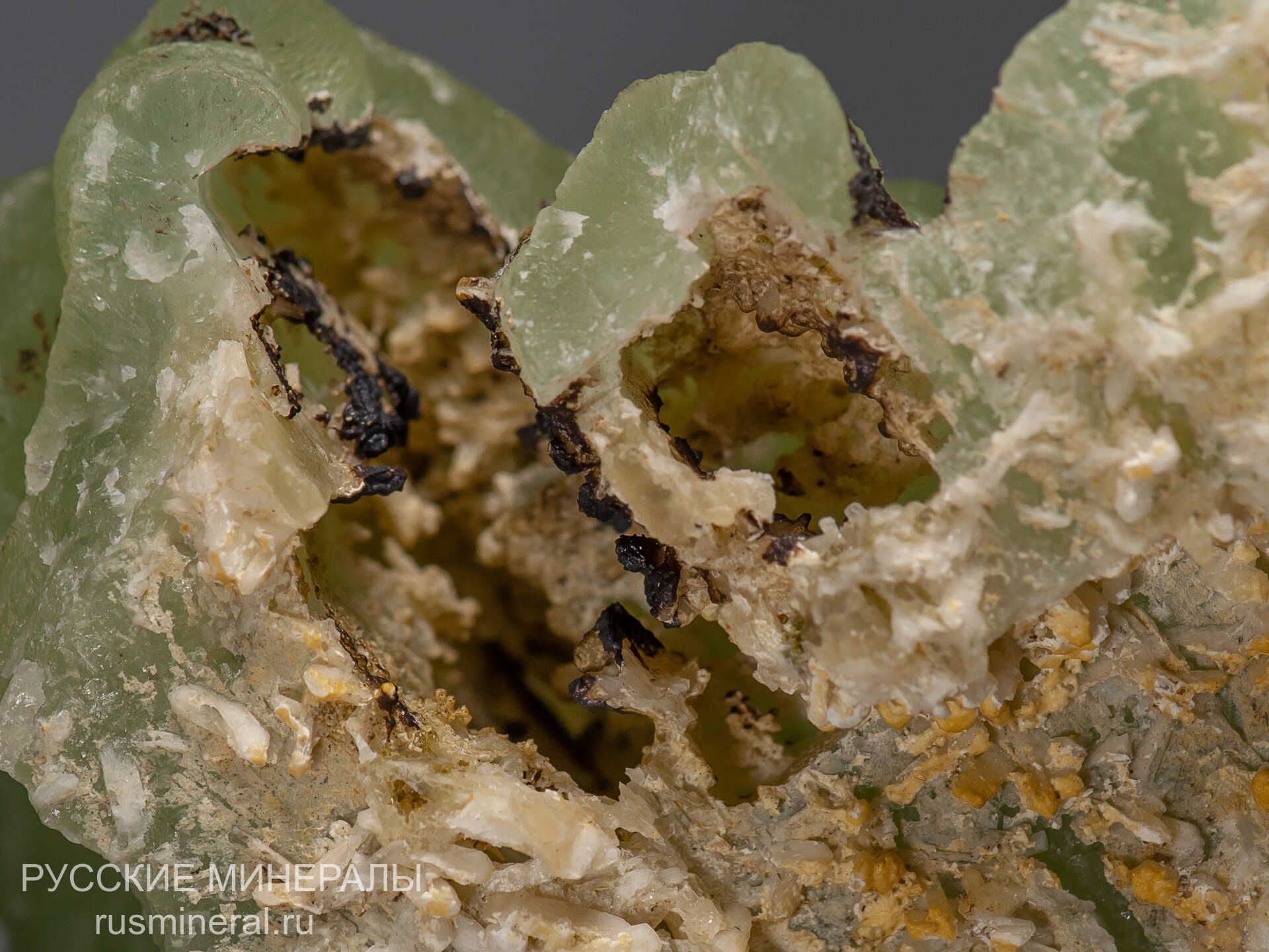 Пренит Пренит