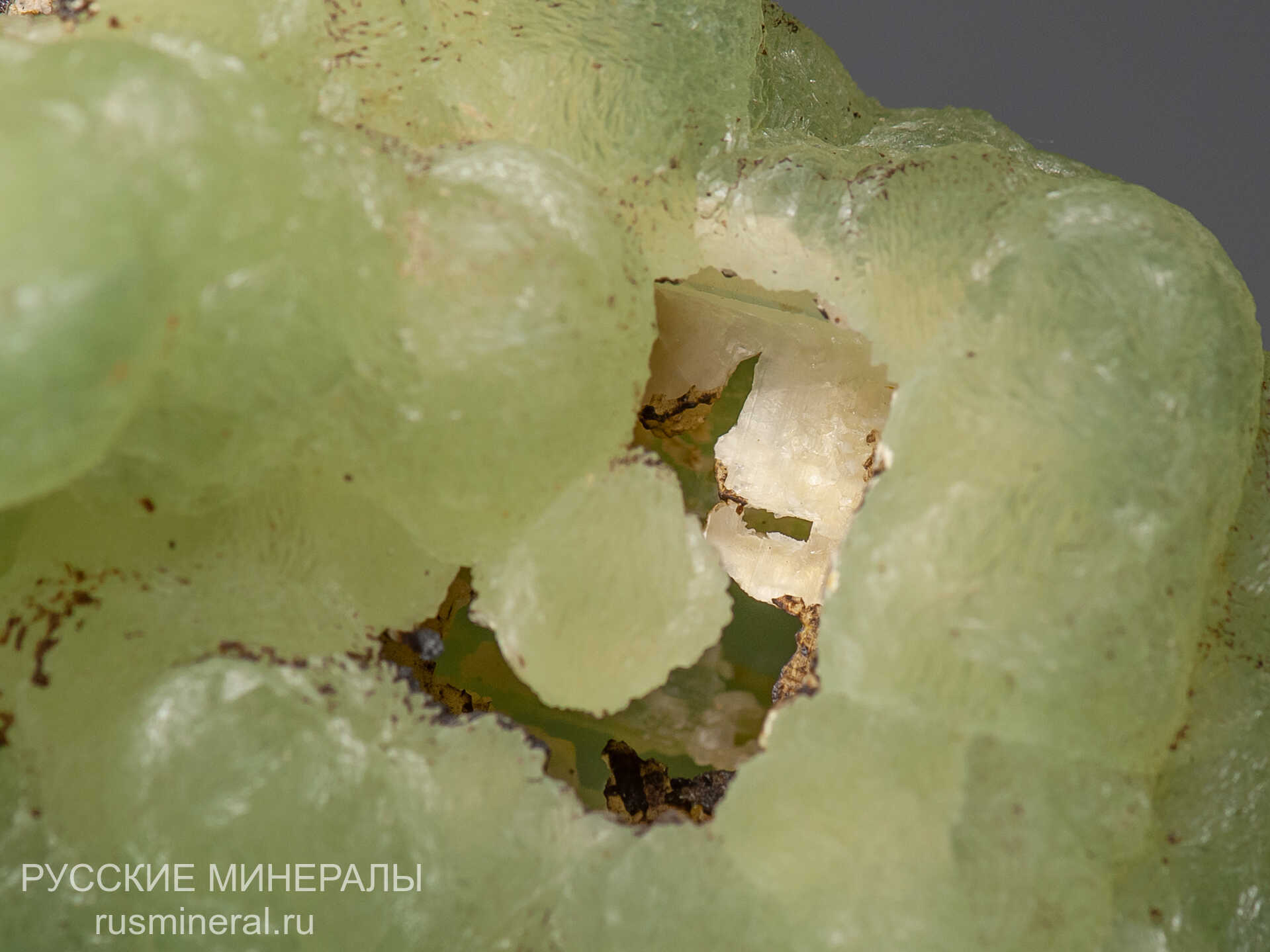 Пренит Пренит