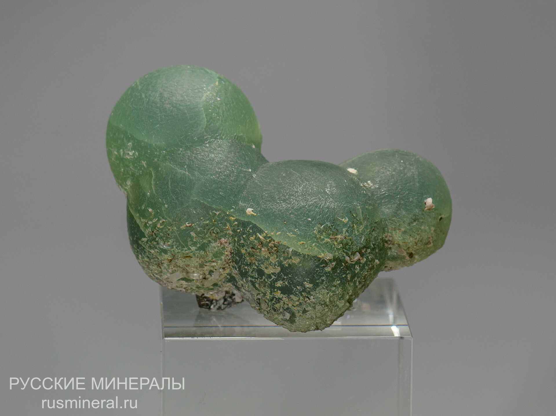 Пренит Пренит