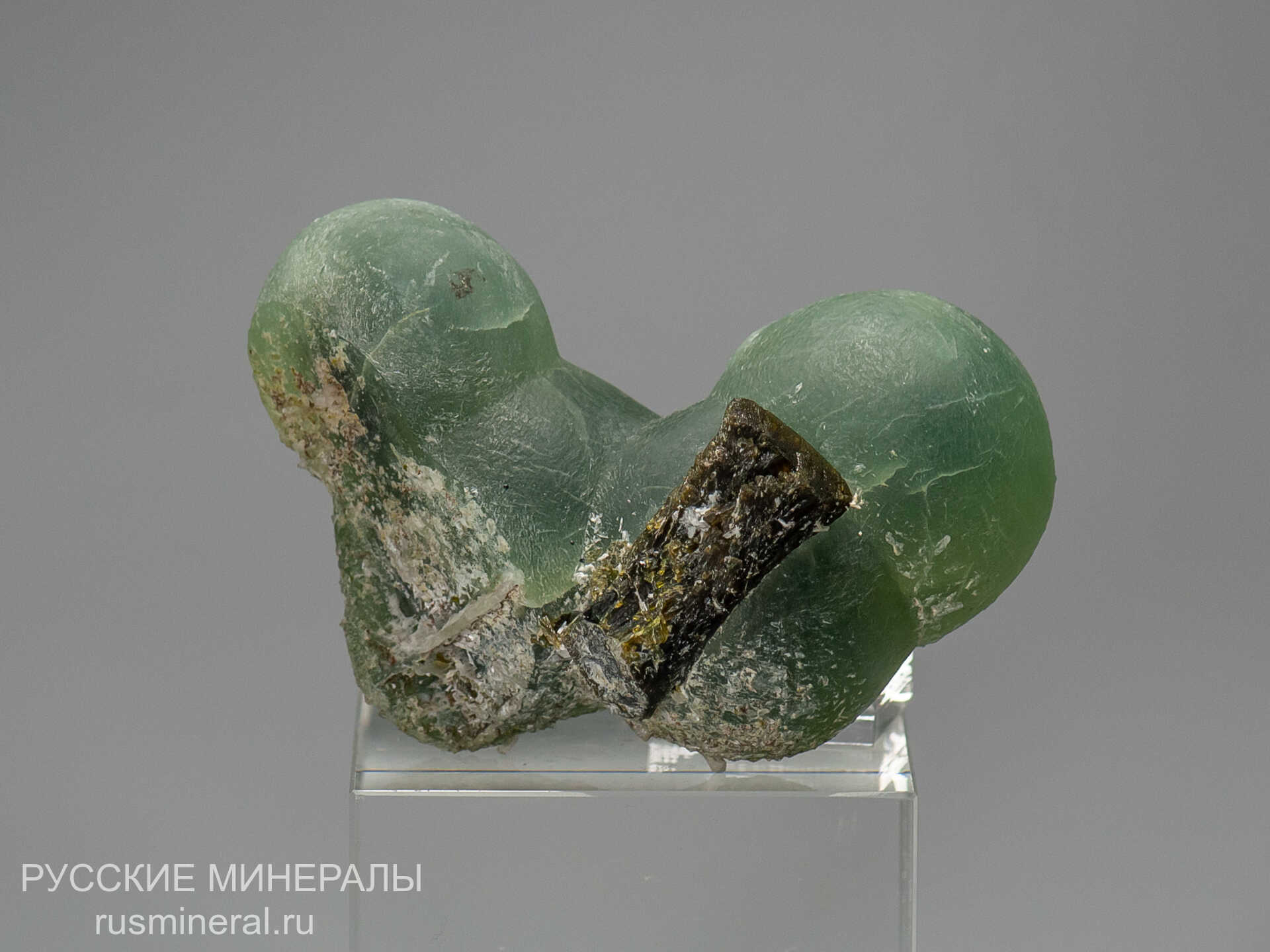 Пренит Пренит