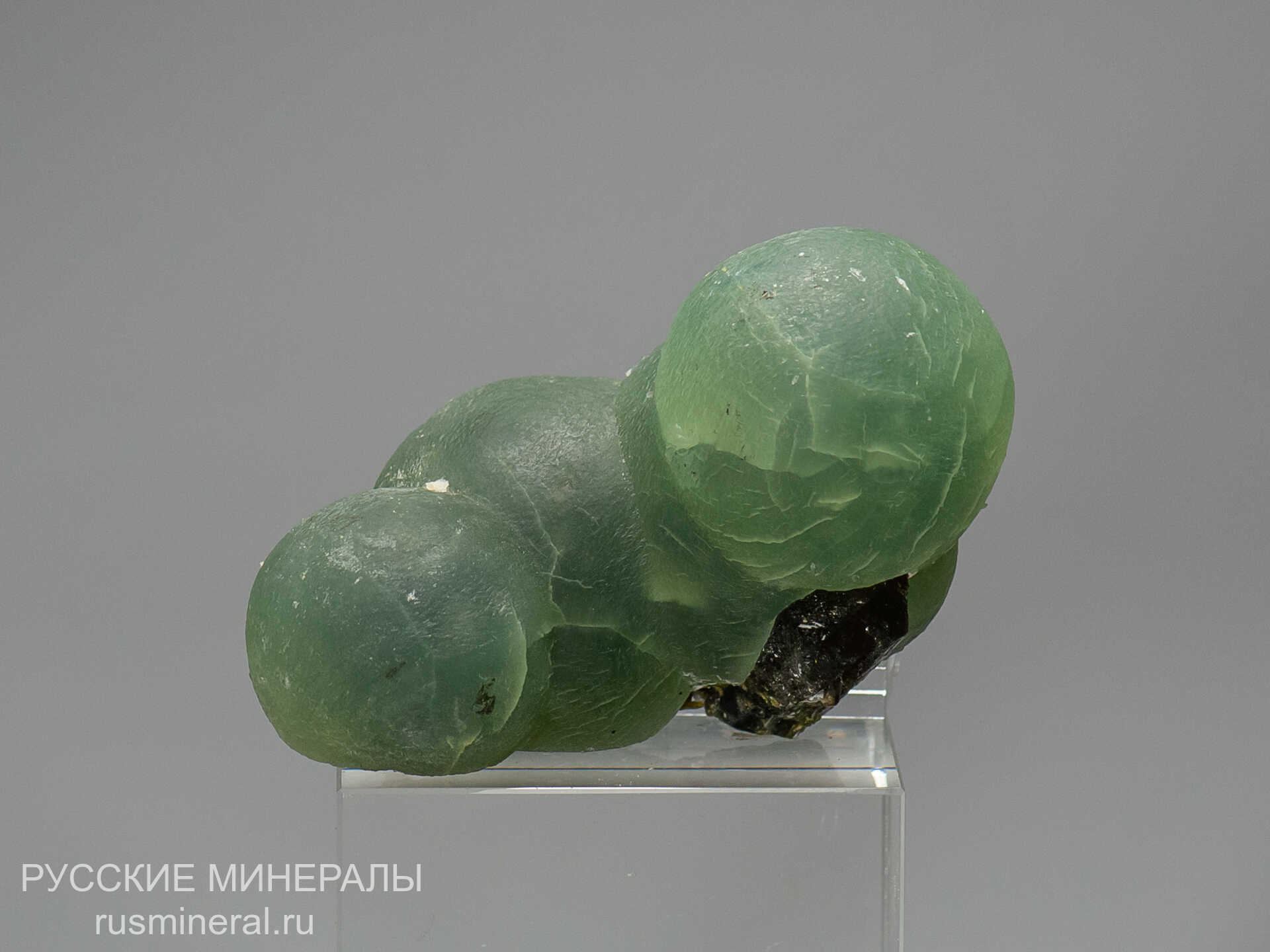 Пренит Пренит