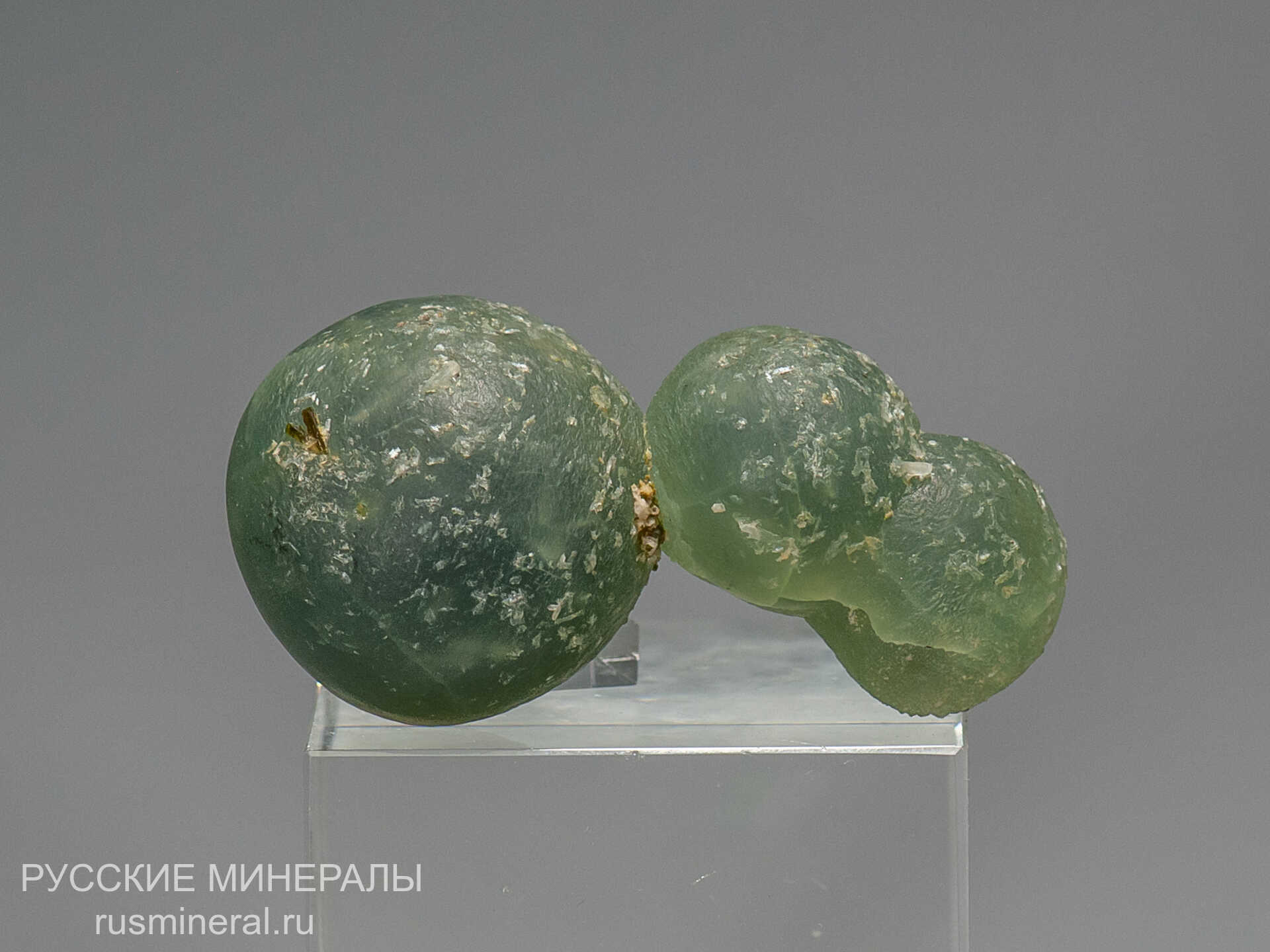 Пренит Пренит