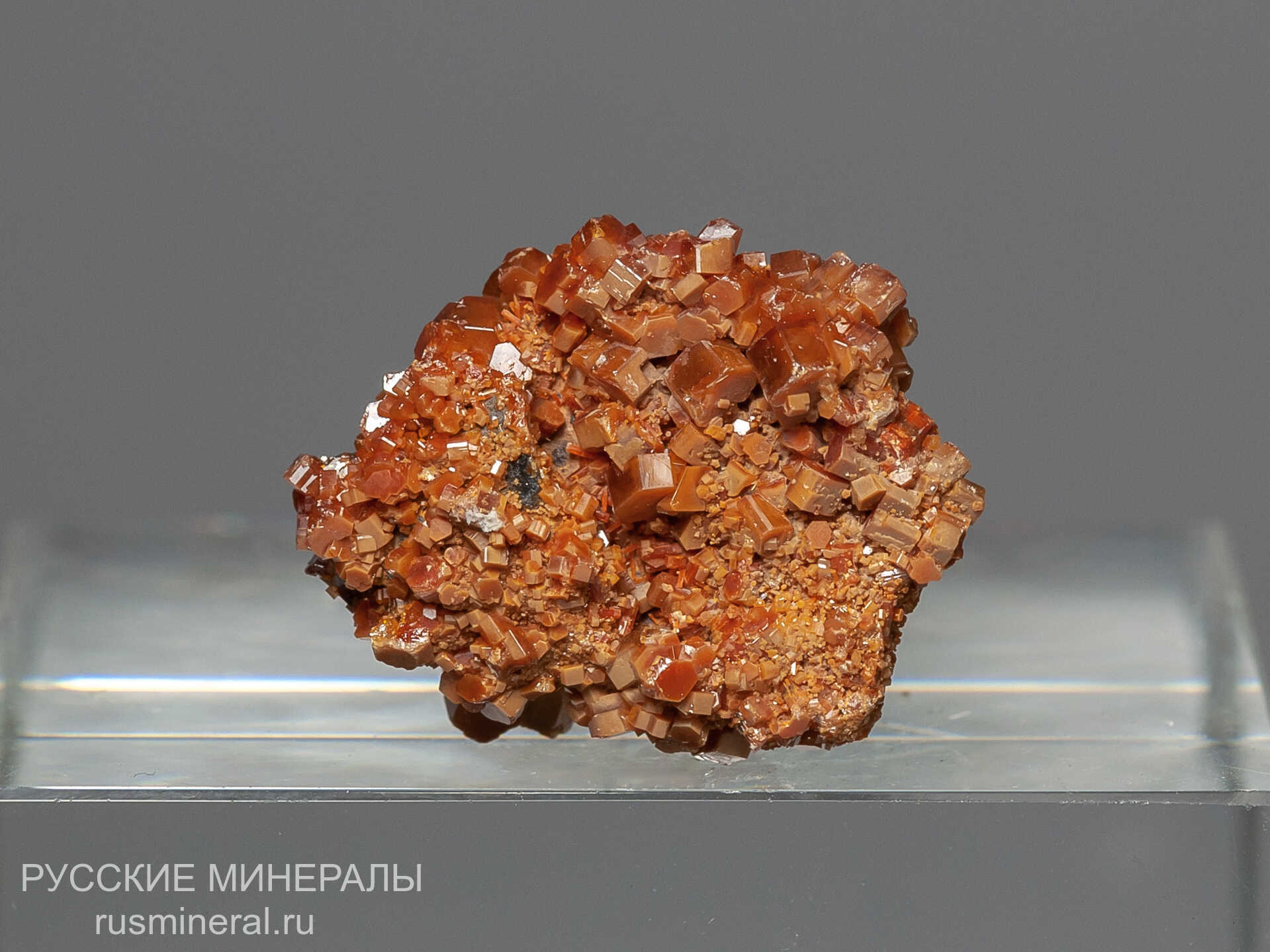 Ванадинит Ванадинит