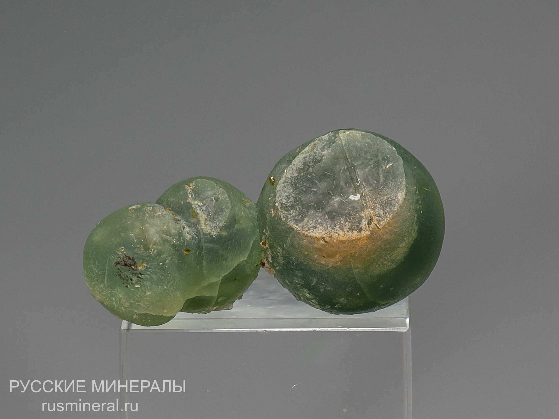 Пренит Пренит