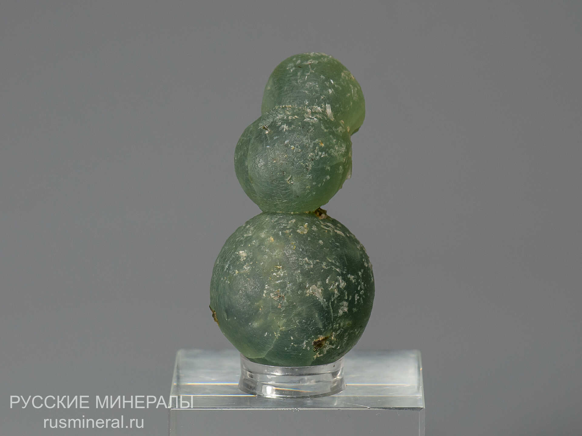 Пренит Пренит