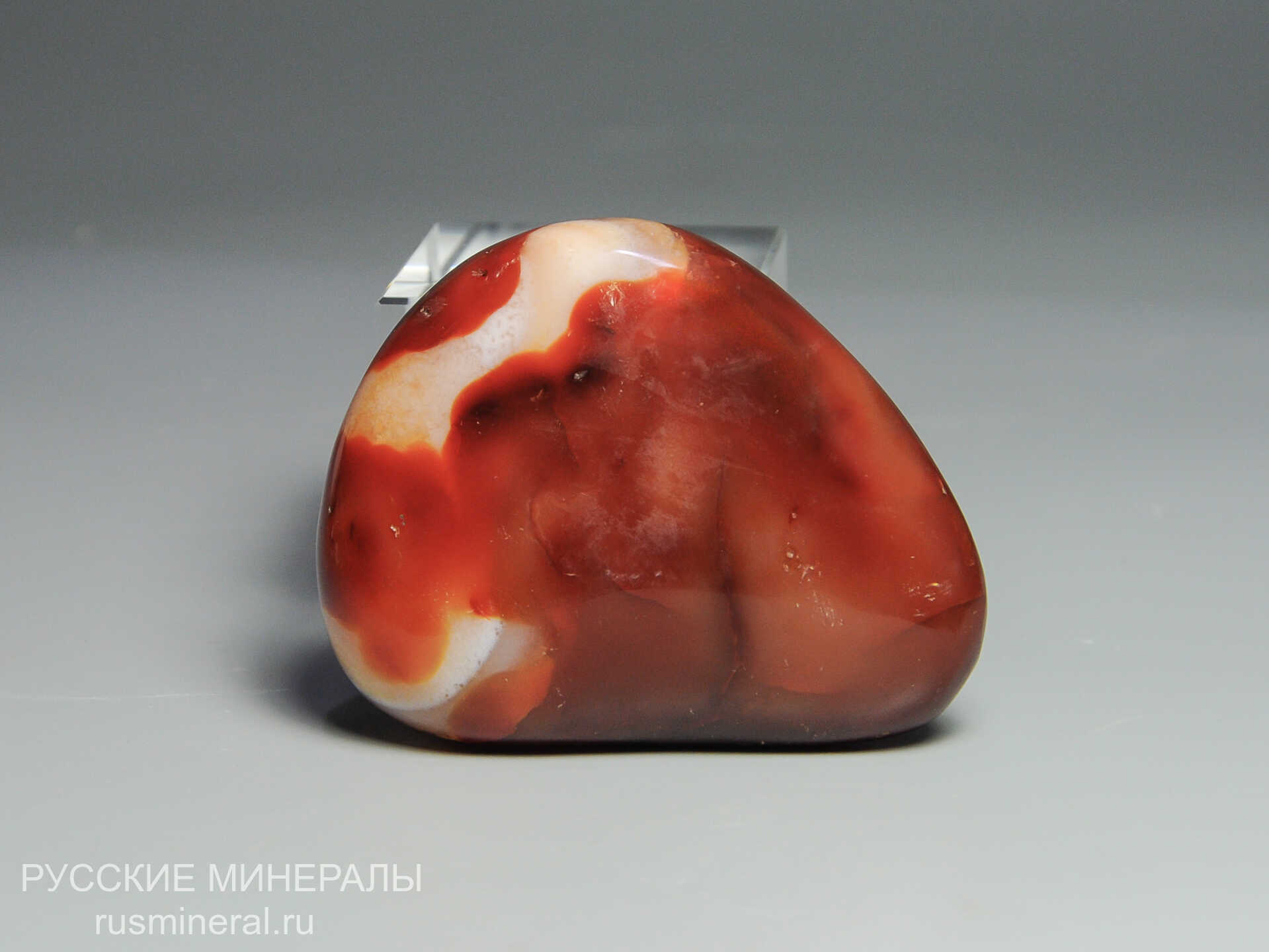 Сердолик Сердолик