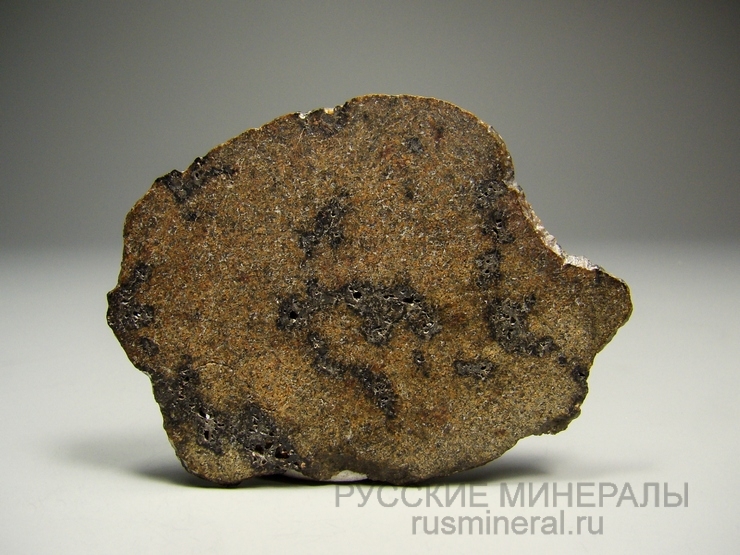 Метеорит Northwest Africa 10299 (марсианский)