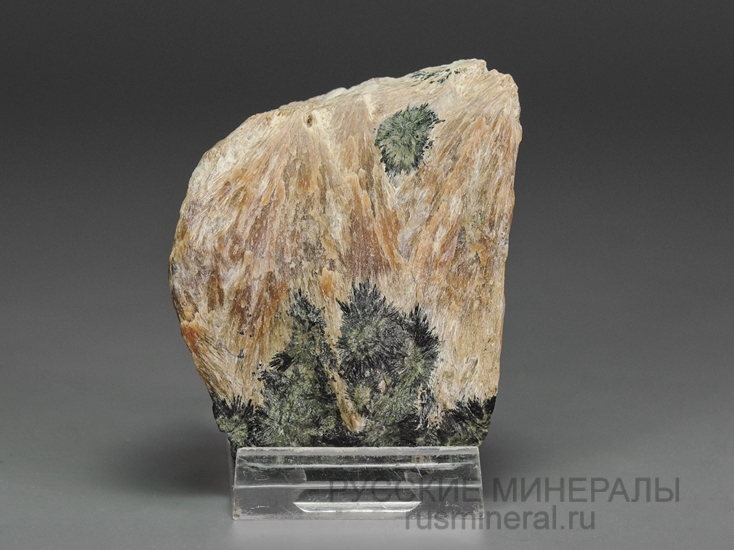 Токкоит, эгирин Токкоит, эгирин