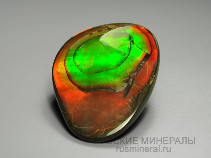 Аммолит полированный Аммолит полированный